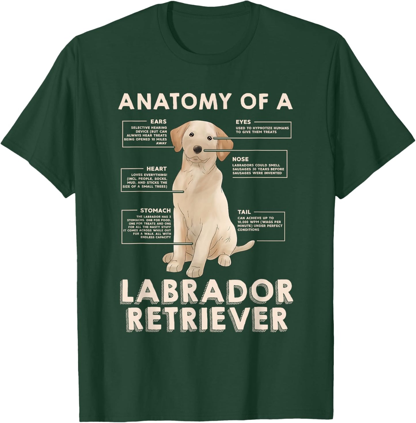 Funny Anatomy of a Labrador Retriever Graphic with Saying T-Shirt - T-Shirt | Forest