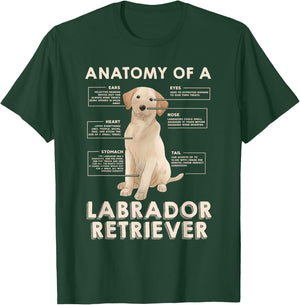 Funny Anatomy of a Labrador Retriever Graphic with Saying T-Shirt - T-Shirt | Forest