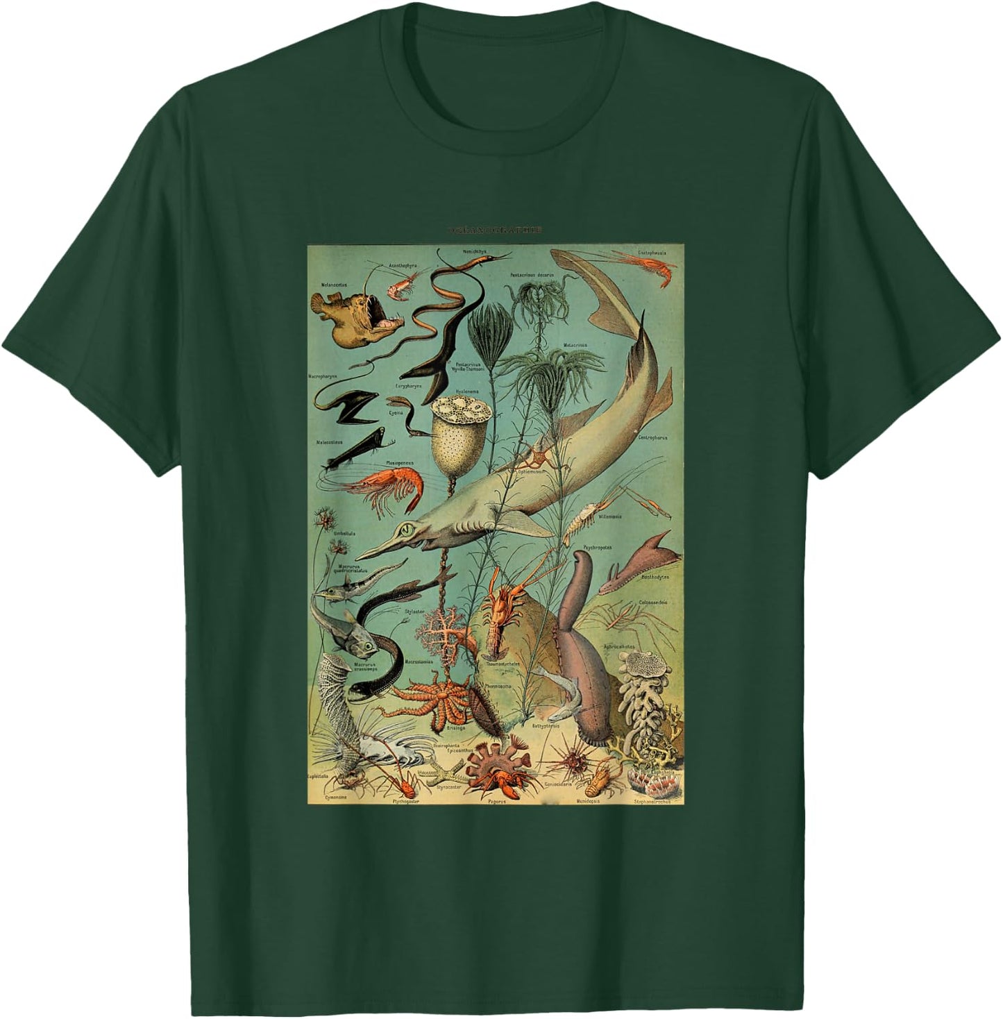 Vintage Inspired Ocean Sealife Chart T-Shirt - T-Shirt | Forest