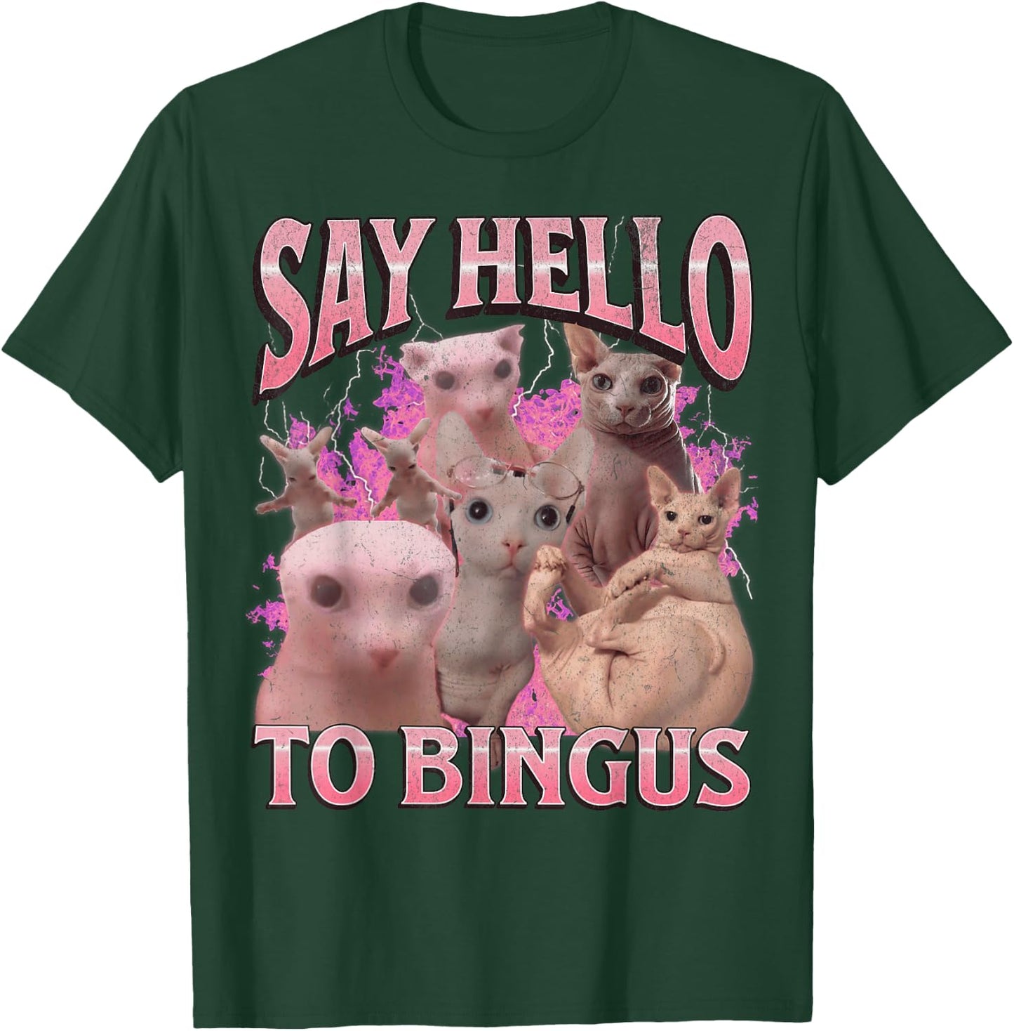 Say Hello To Bingus Funny Sphinx Cat Meme Bootleg Graphic T-Shirt - T-Shirt | Forest