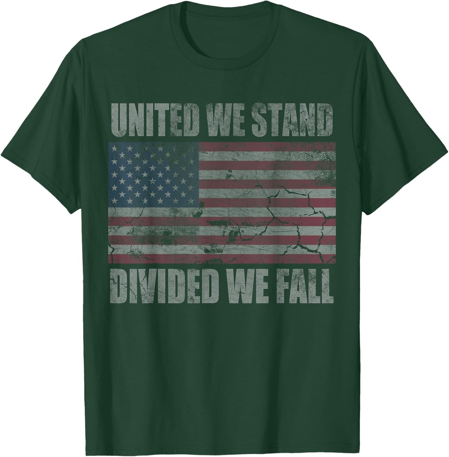 American Flag United We Stand Divided We Fall Distressed T-Shirt - T-Shirt | Forest