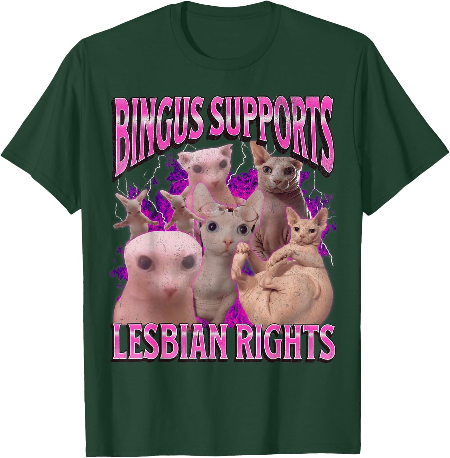 Bingus Supports Lesbian Rights Funny Cat Meme Bootleg T-Shirt - T-Shirt | Forest