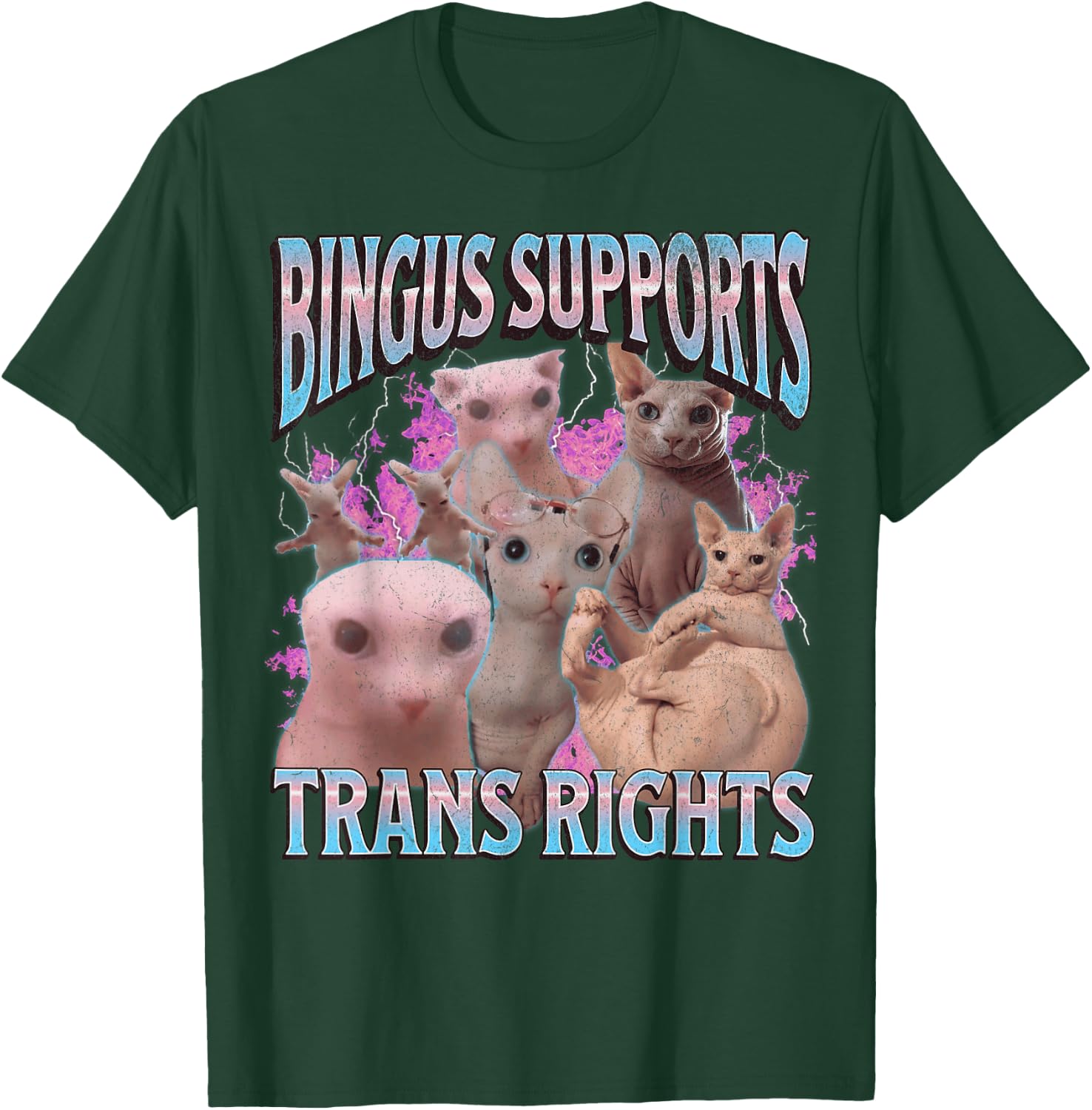 Bingus Supports Trans Rights Funny Sphinx Cat Meme Bootleg Men Women T-Shirt - T-Shirt | Forest