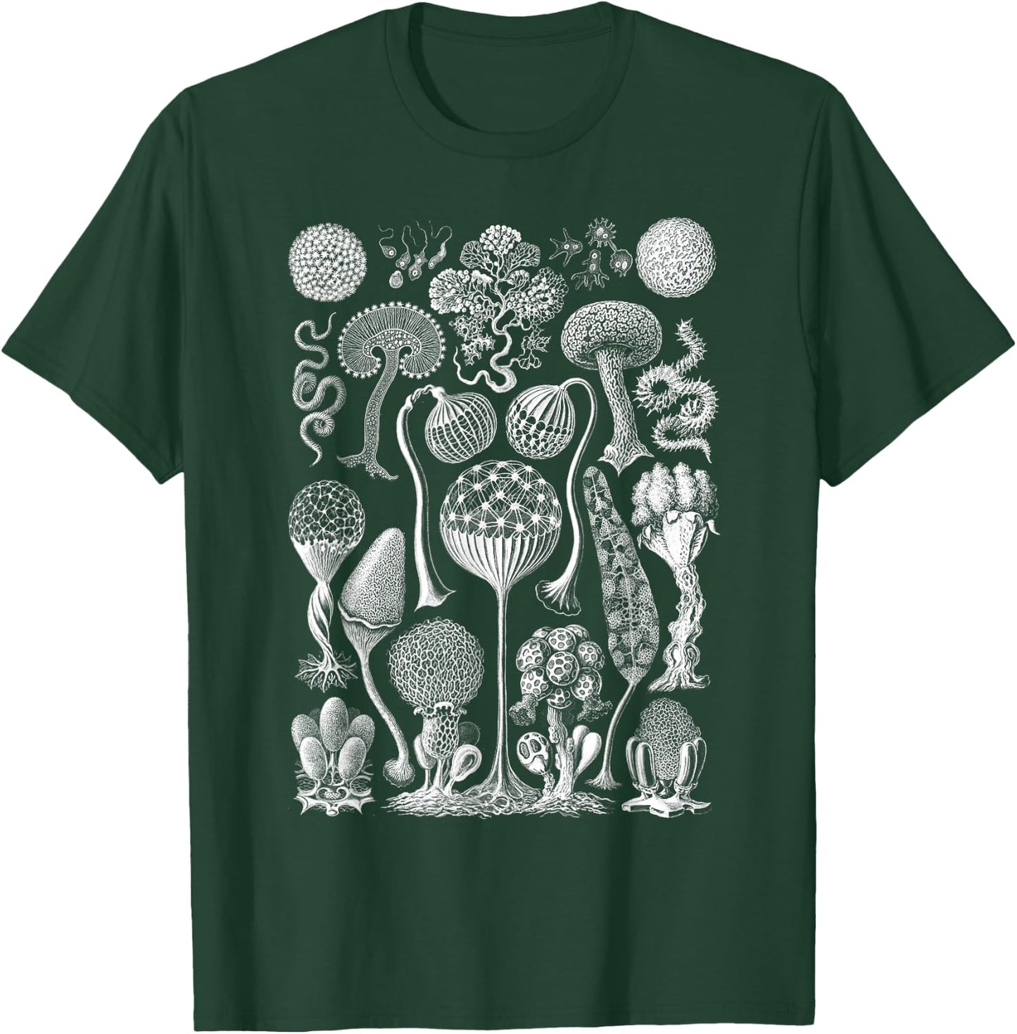 Vintage Haeckel Mycetozoa Slime Molds T-Shirt - T-Shirt | Forest