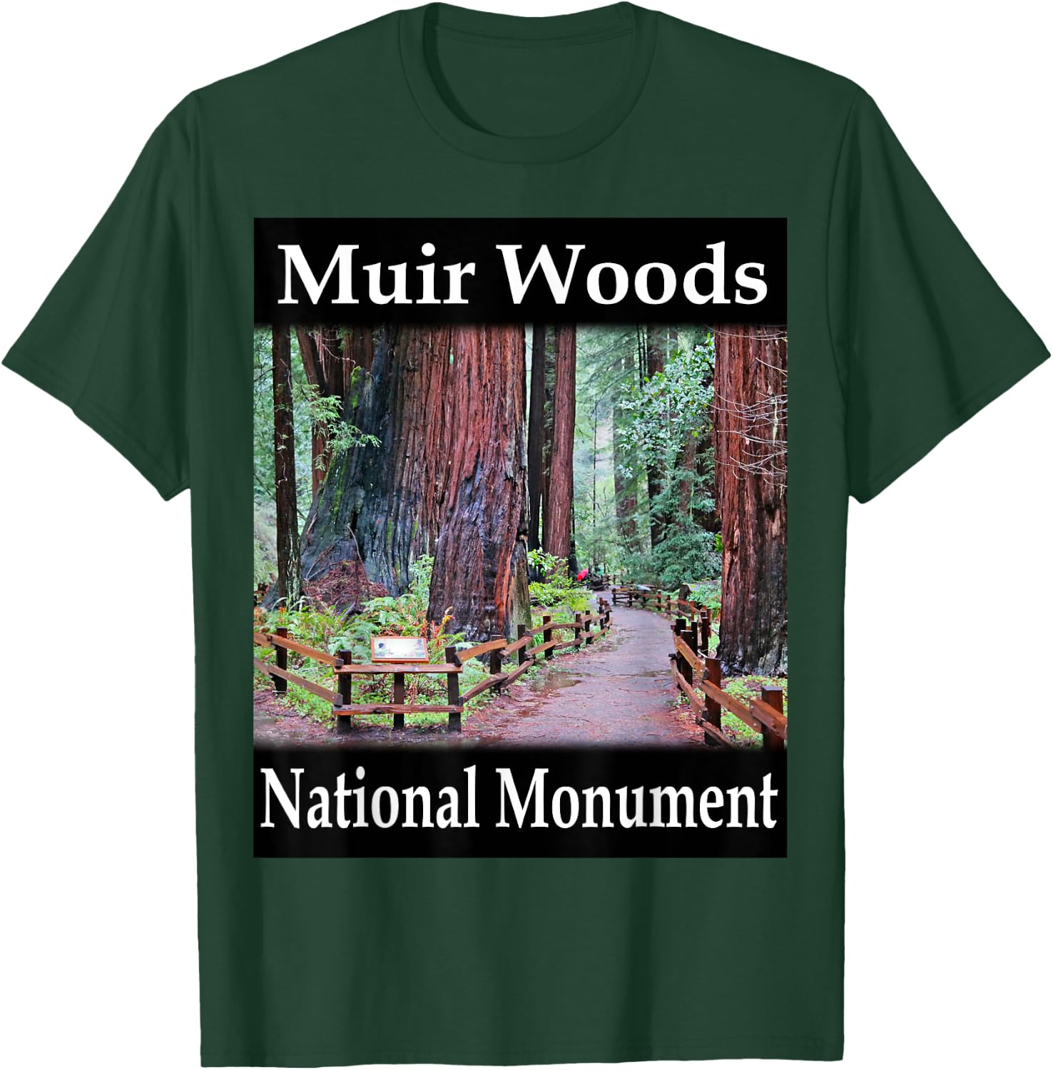 Yellow House Outlet: Muir Woods National Monument T-Shirt - T-Shirt | Forest