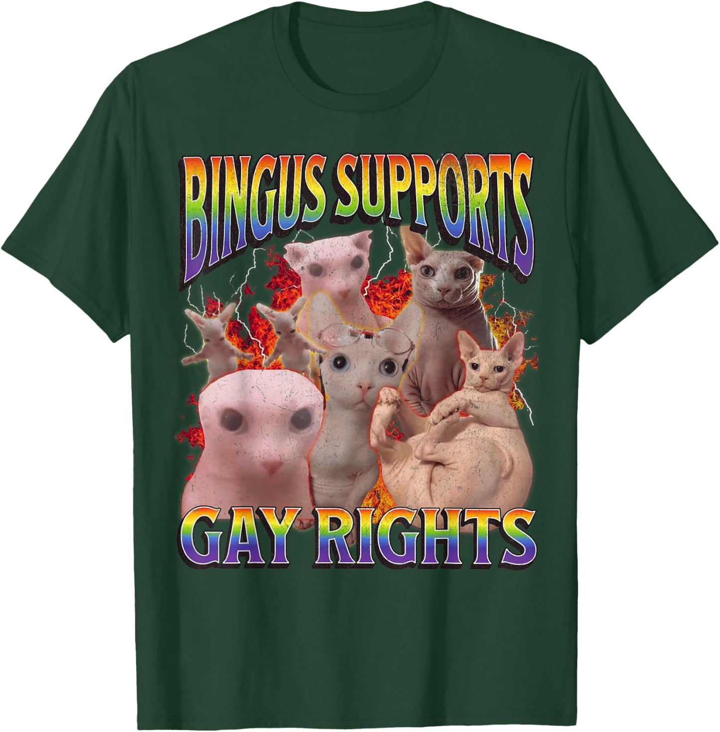 Bingus Supports Gay Rights Funny Sphinx Cat Meme Bootleg T-Shirt - T-Shirt | Forest