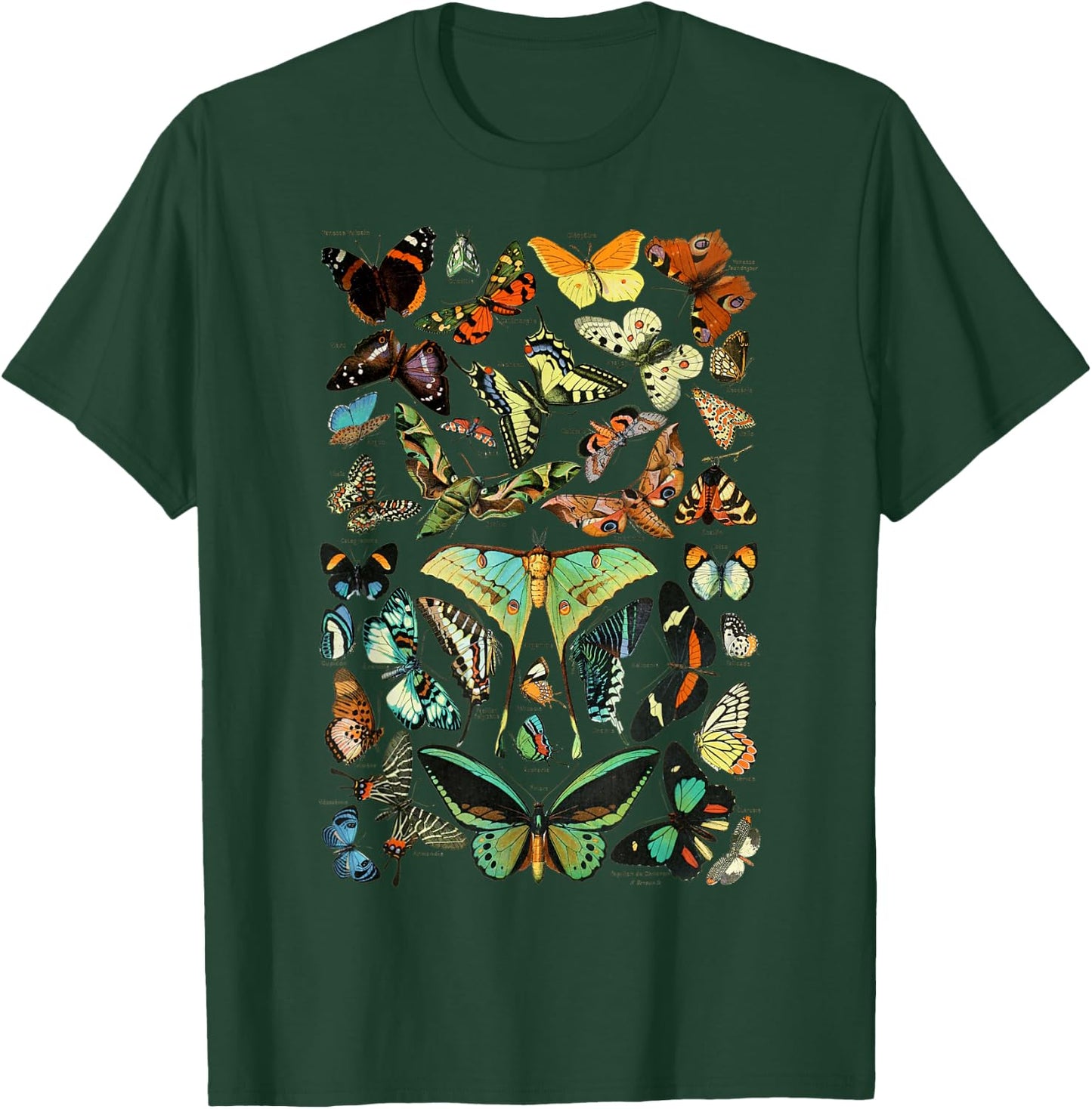 Vintage Botanical Butterfly Species Vintage Butterflies T-Shirt - T-Shirt | Forest