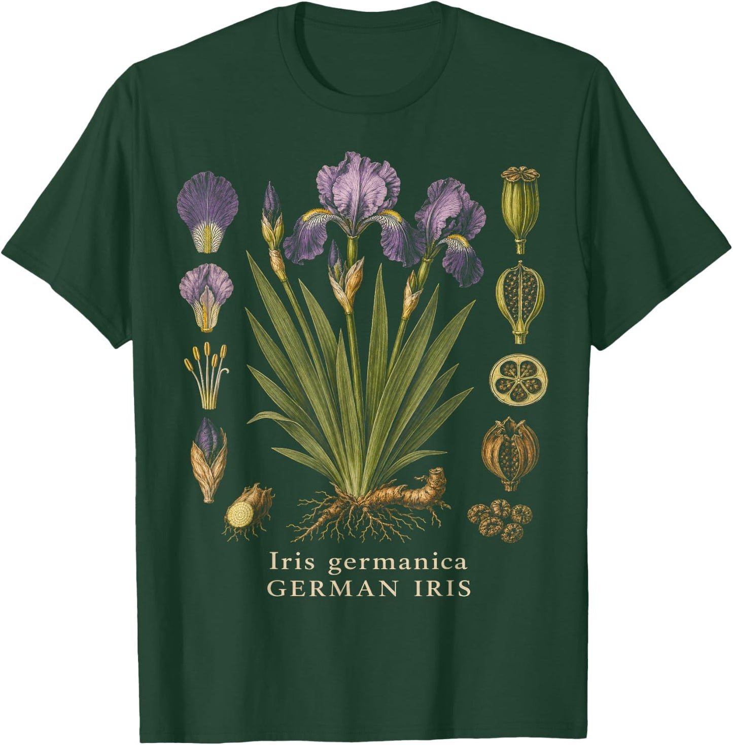 German Iris Botanical Anatomy Vintage Floral Study T-Shirt - T-Shirt | Forest