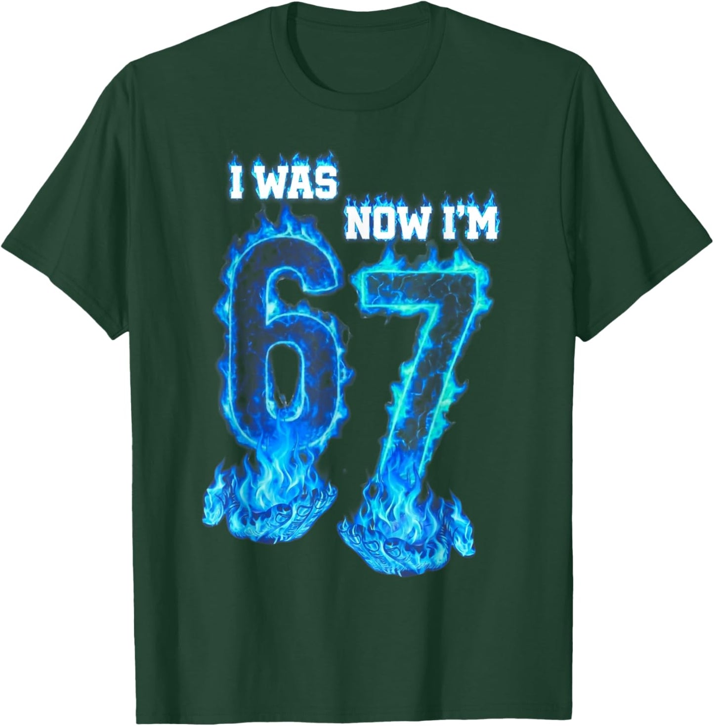 I was 6 Now I'm 7 Blue Fire Funny 67 Meme Birthday Boys Girl T-Shirt - T-Shirt | Forest
