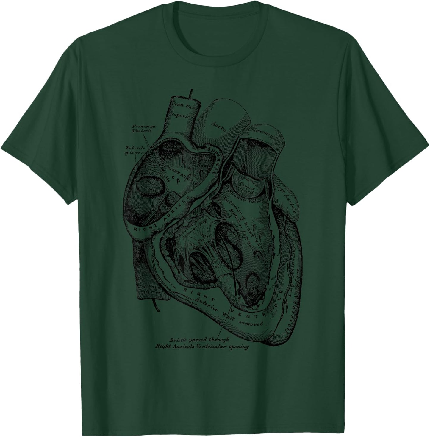 Anatomical Human Heart Medical Anatomy Vintage T-Shirt - T-Shirt | Forest