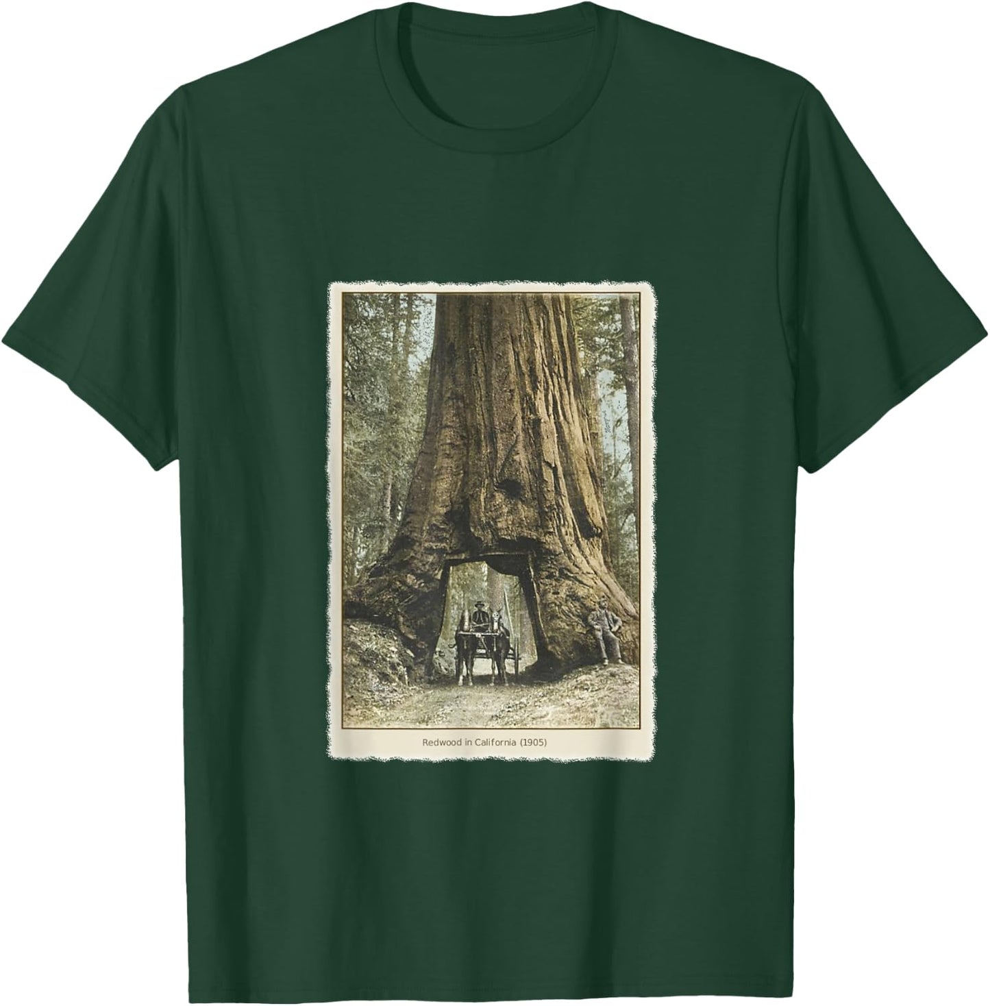 Vintage Redwood Forest T Shirt, California Redwoods Trees T-Shirt - T-Shirt | Forest