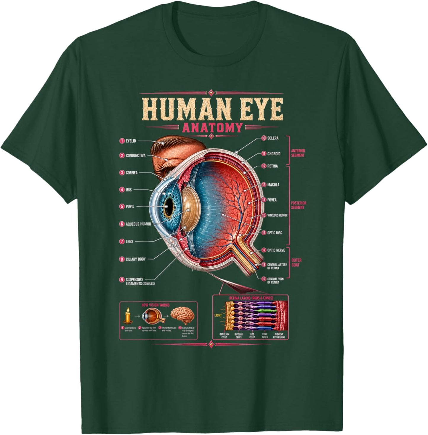 Human Eye Anatomy Biology Science Education Gifts Men Women T-Shirt - T-Shirt | Forest