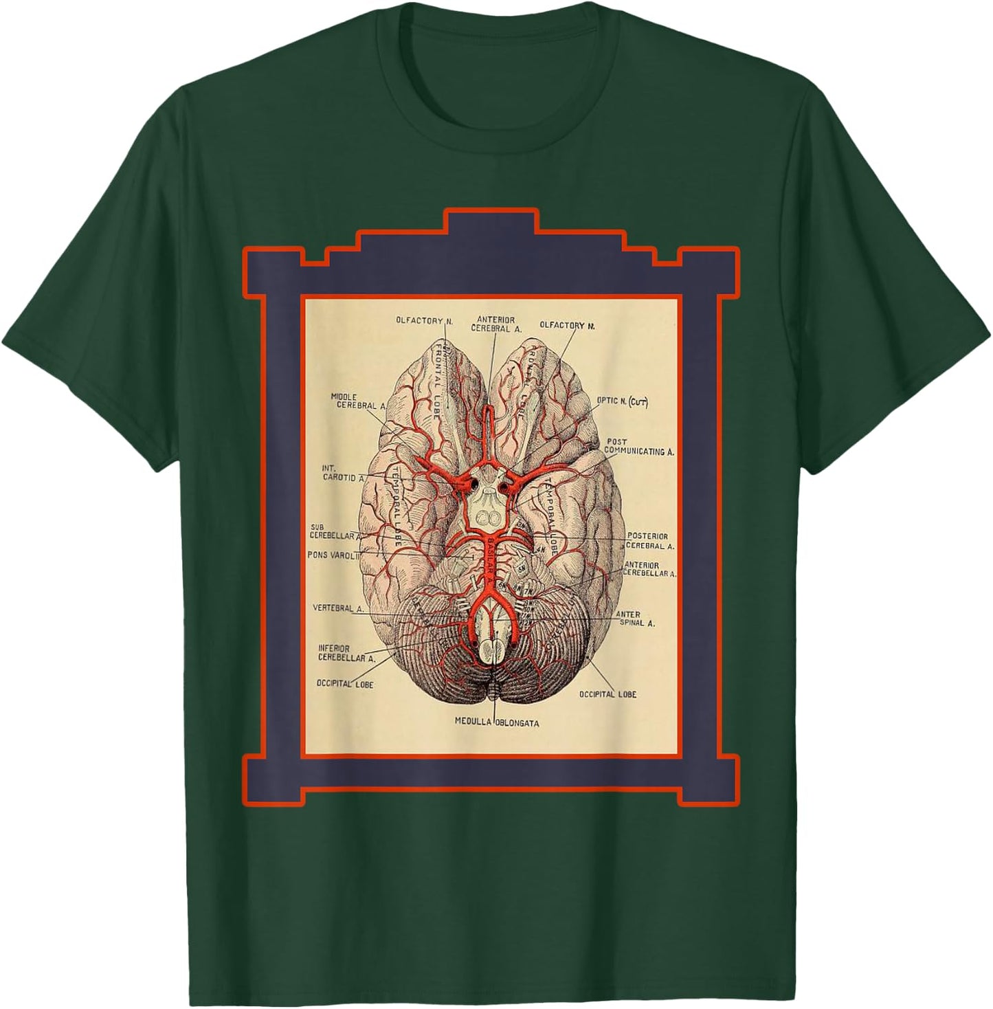 Vintage Human Brain Anatomy Diagram T-Shirt - T-Shirt | Forest