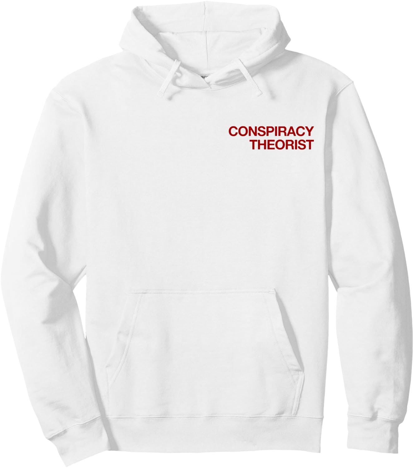 Conspiracy Theorist (with print on back - backprint) Hoodie - Hoodie | White