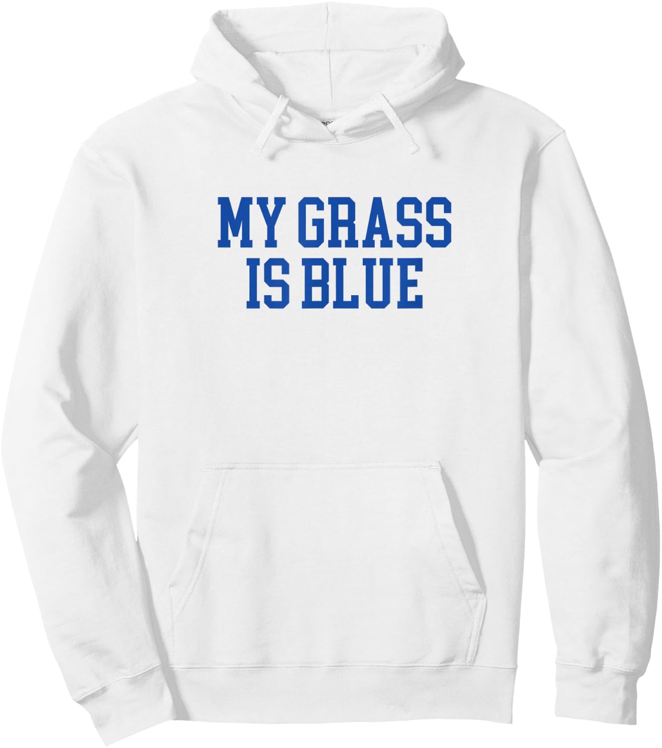 My Grass Is Blue - Simple Minimalist Retro Bluegrass Hoodie - Hoodie | White