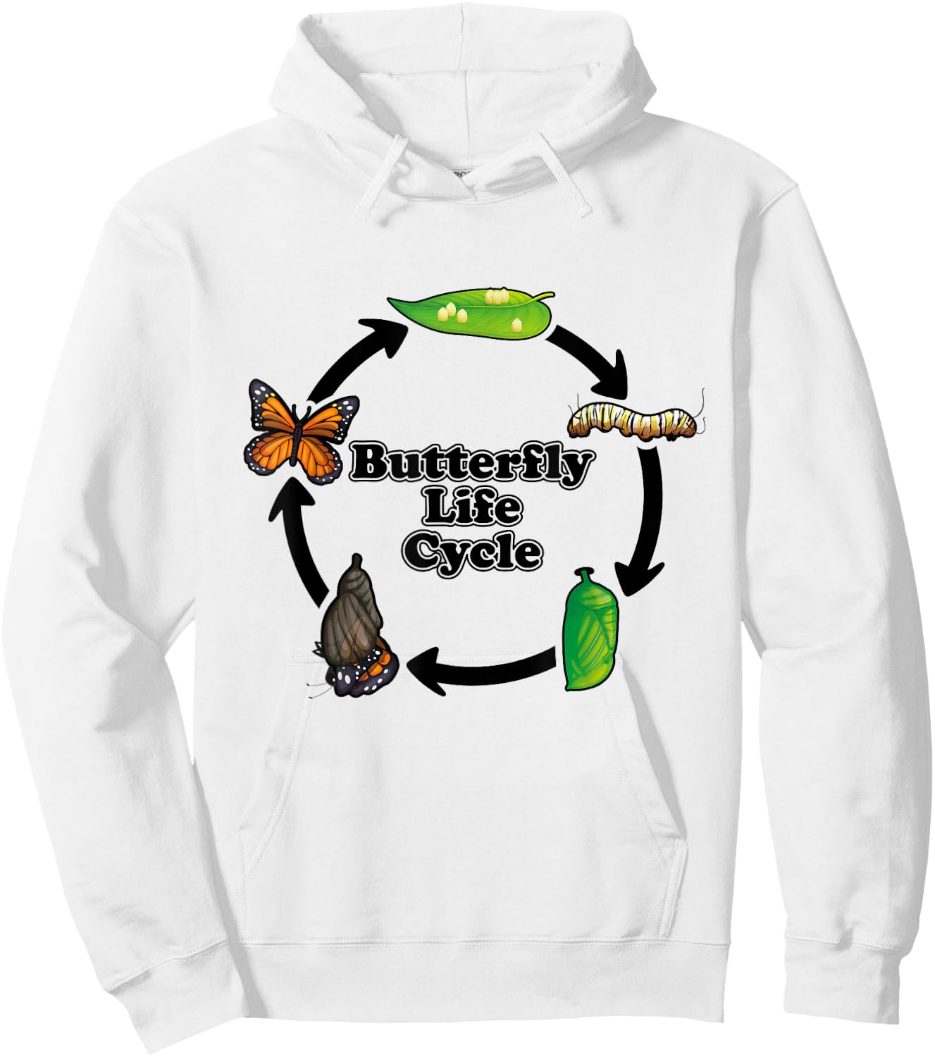 Monarch Butterfly Life Cycle Educational Science Hoodie - Hoodie | White