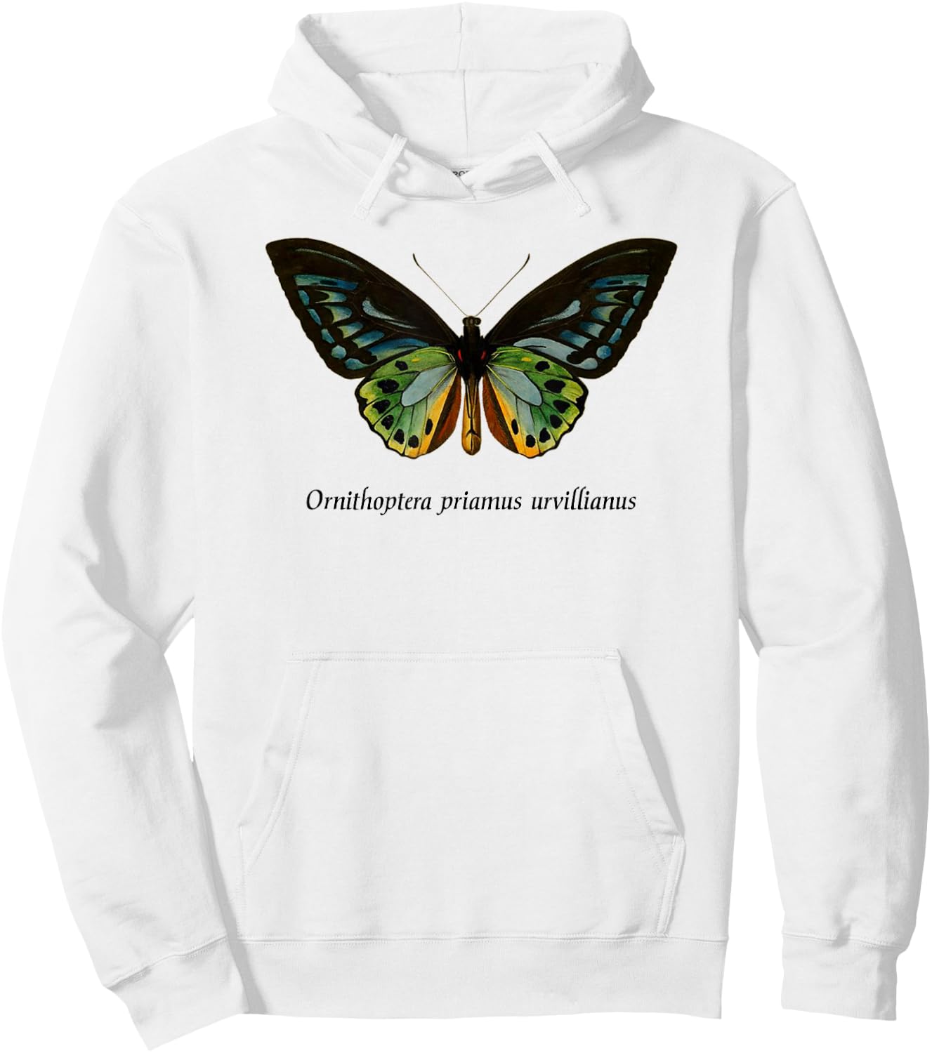 Bird Wing Butterfly Insect Entomology Moth Hoodie - Hoodie | White