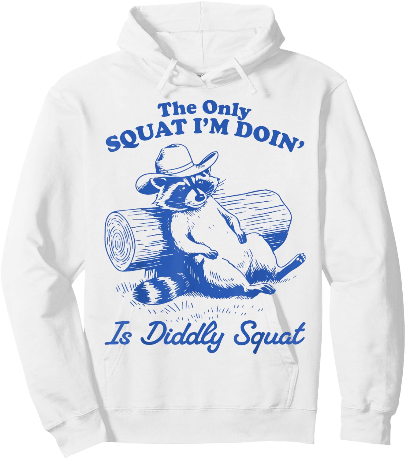 The Only Squat I'm Doing Is Diddly Squat Raccoon Possum Hoodie - Hoodie | White