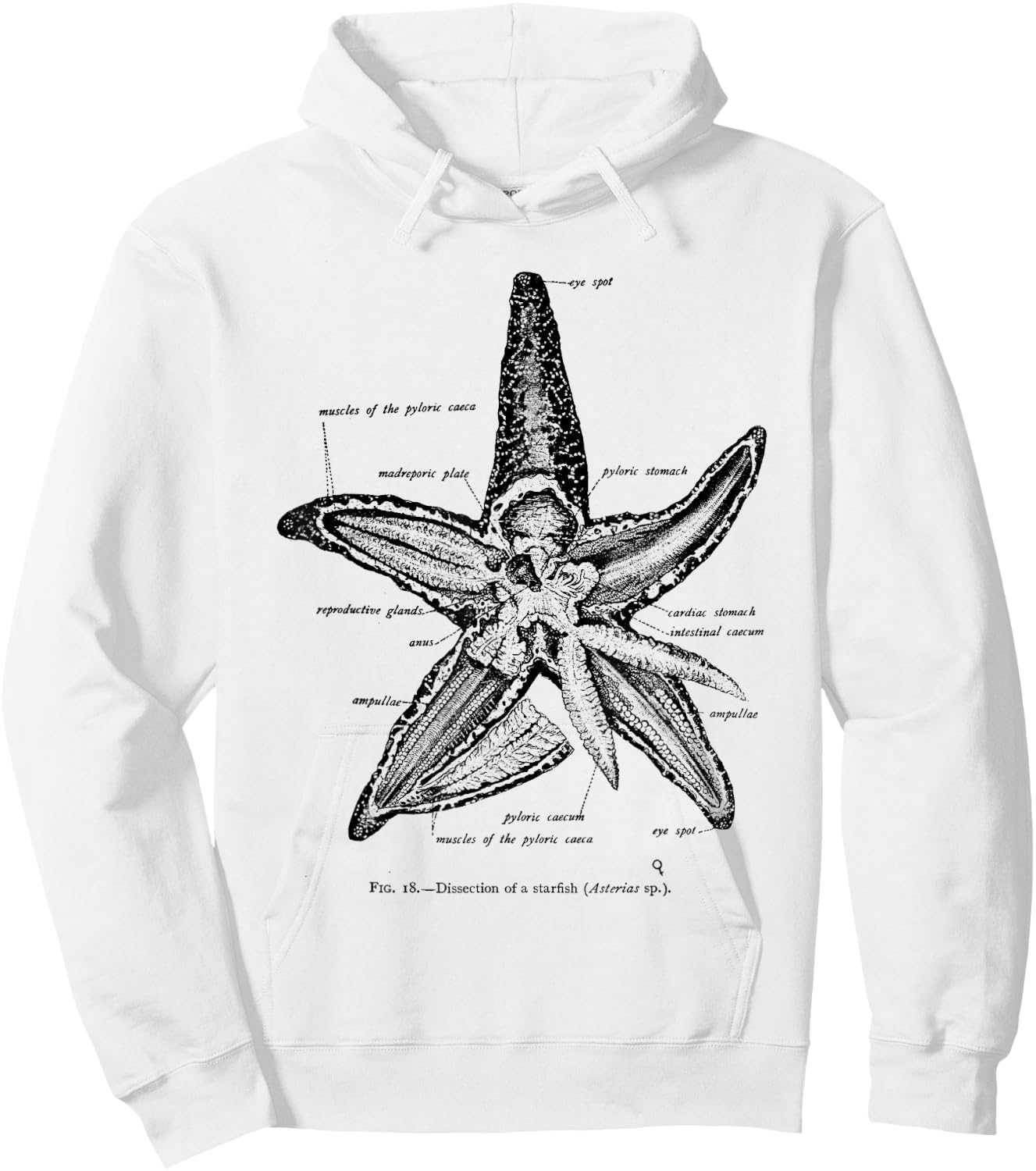 Vintage Marine Biology Starfish Sea Star Hoodie - Hoodie | White