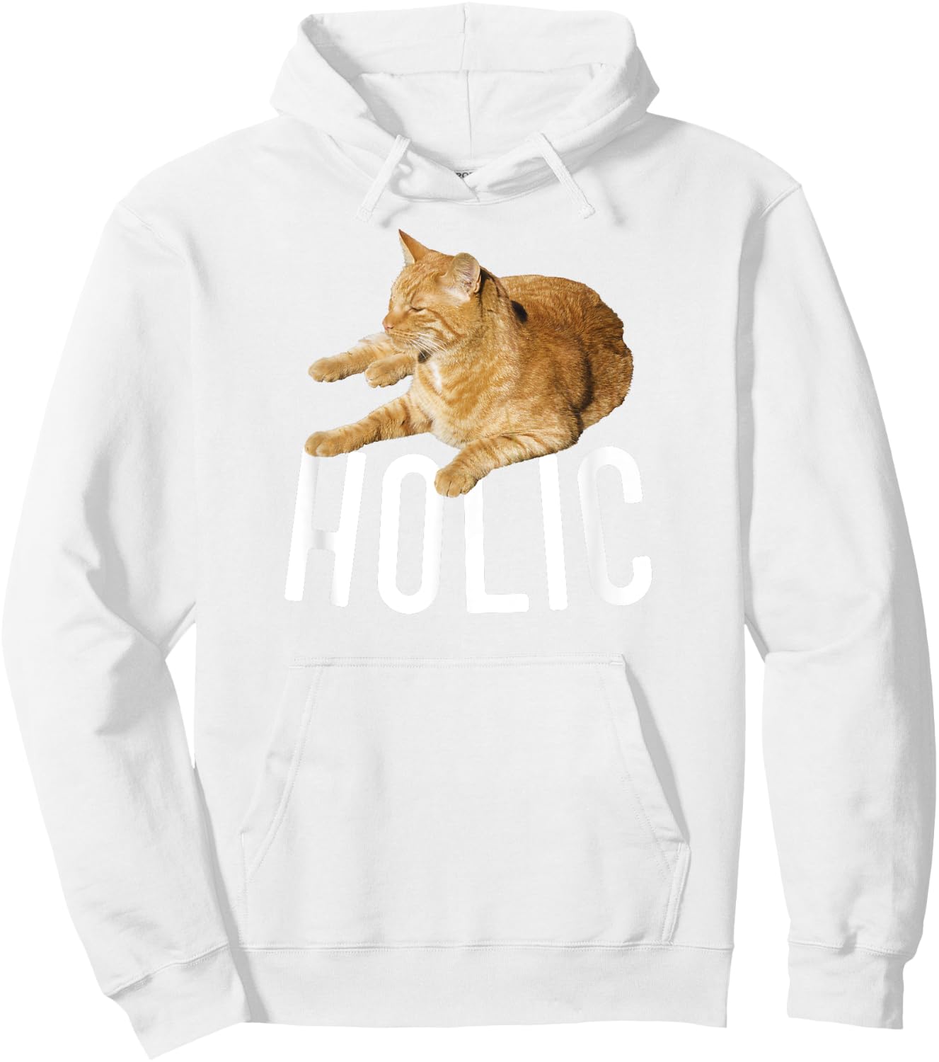 CATholic Tabby Orange Cat Lover Men Women Kids Hoodie - Hoodie | White