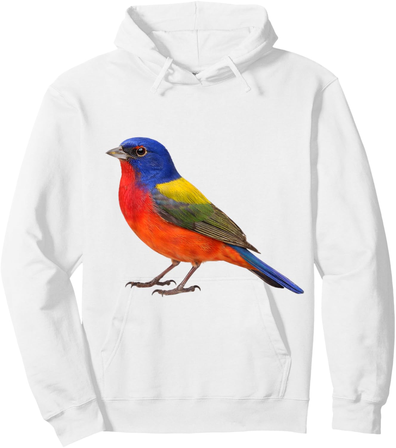 Painted Bunting Bird Aesthetic Illustration Hoodie - Hoodie | White