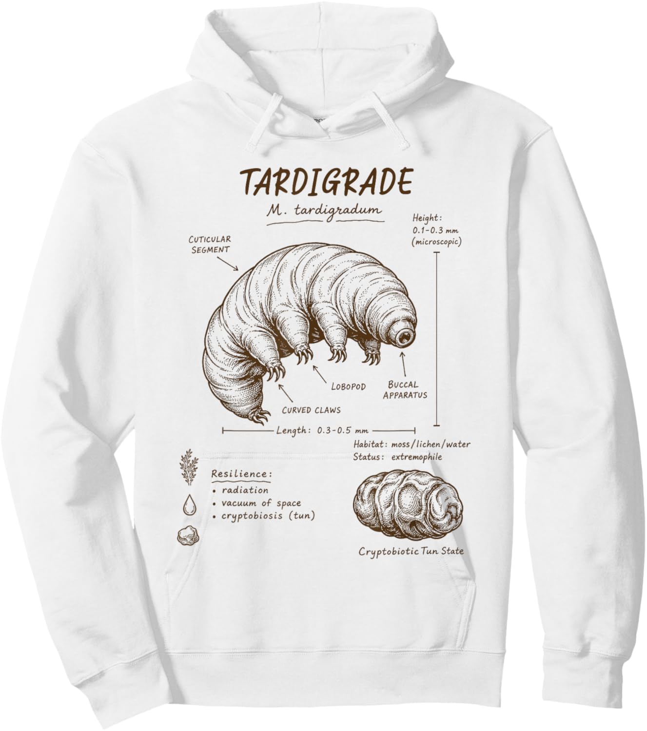 Tardigrade Anatomy Tardigrade Lover Water Bear Science Hoodie - Hoodie | White