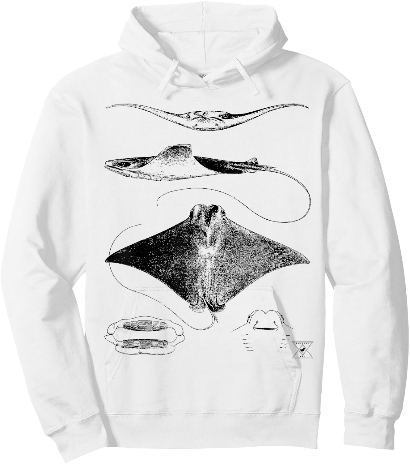Stingray Anatomy | Sharks Rays Oceanography Sea Life Hoodie - Hoodie | White
