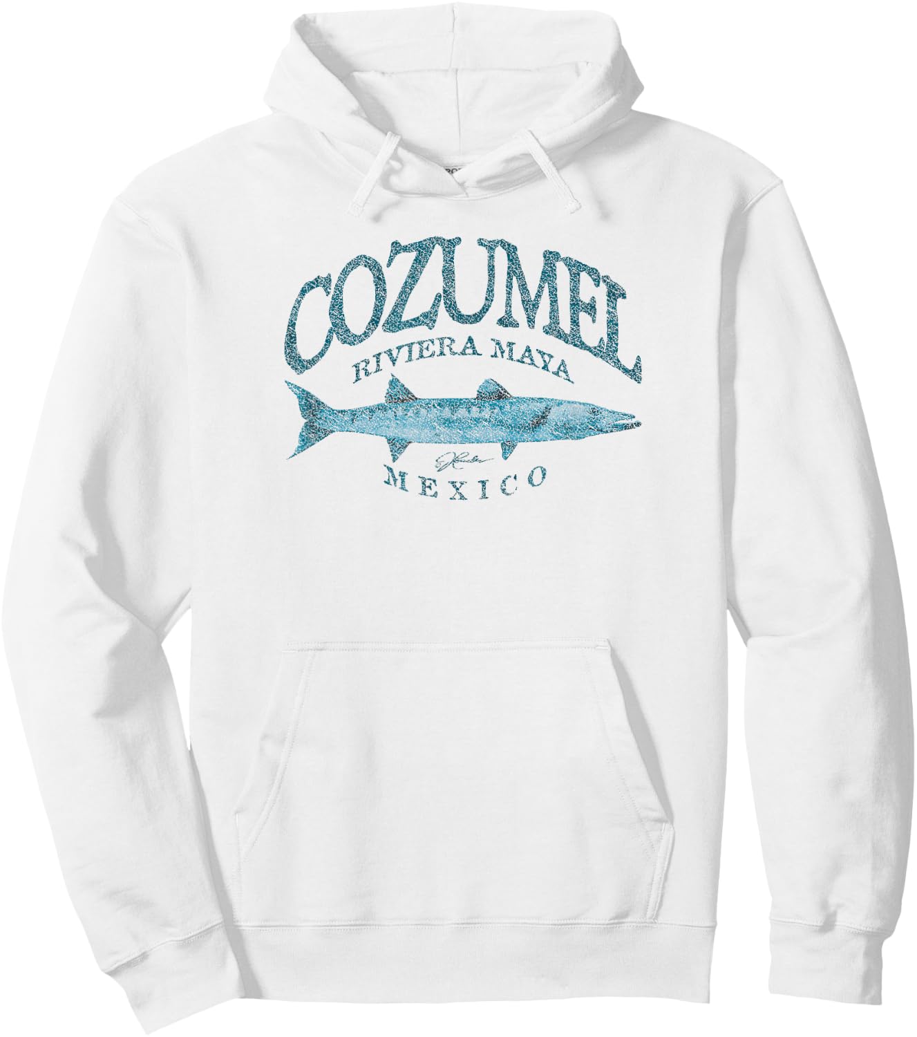 JCombs: Cozumel, Mexico, Great Barracuda Hoodie - Hoodie | White