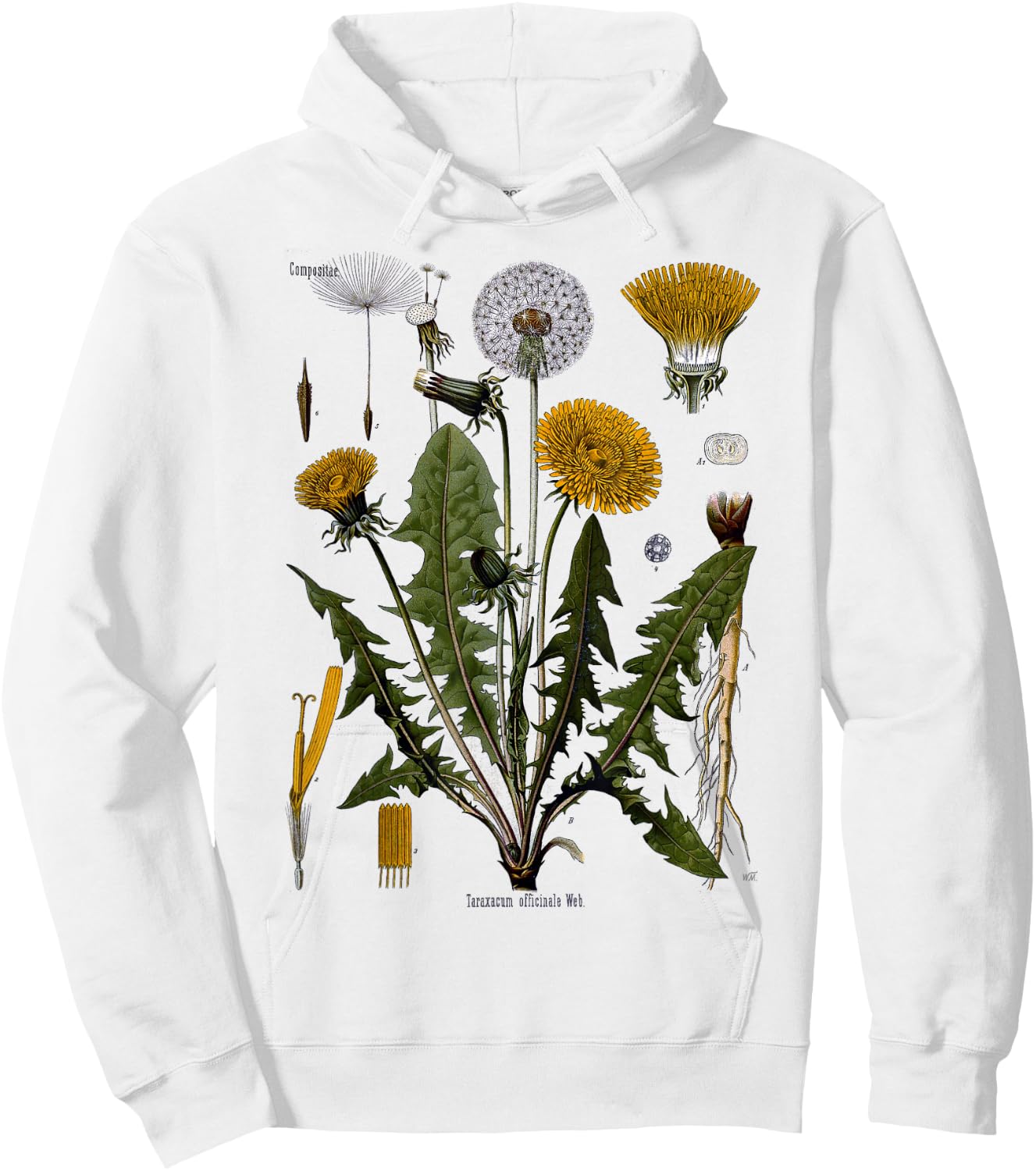 Dandelion Botanical T- Shirt Dandelion Root Vegetarian Hoodie - Hoodie | White
