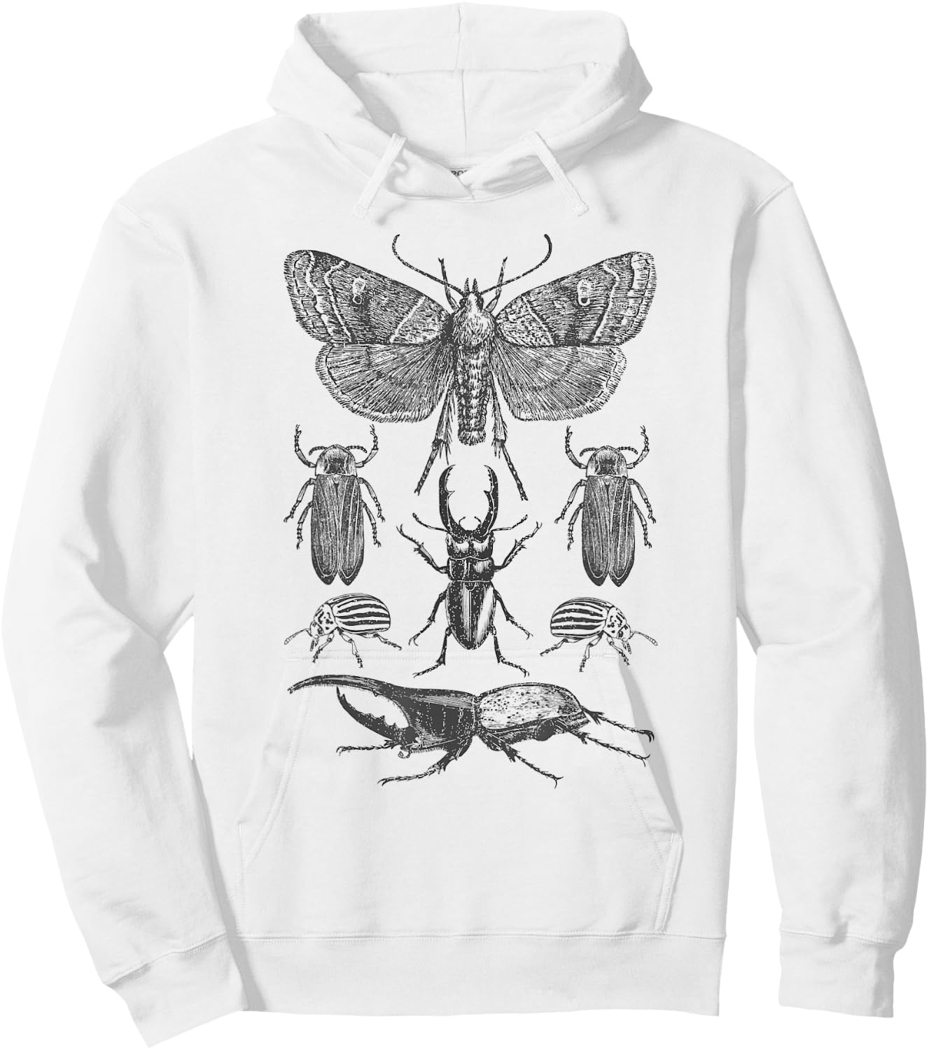 Insect Bug Collection - Moth, Stag Beetle, Cicada Hoodie - Hoodie | White