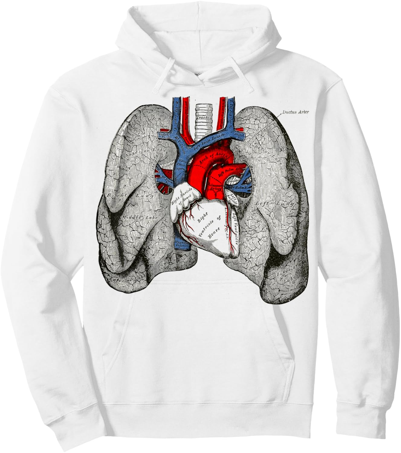 Human Heart Lungs Vintage Medical Anatomy Human Lungs Heart Hoodie - Hoodie | White