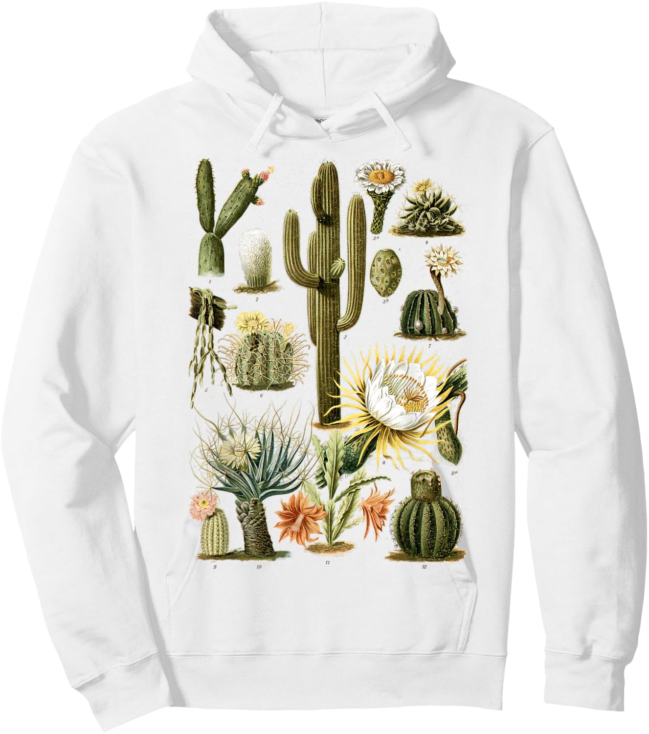 Cactus Succulent Plant Vintage Cacti Botanical Botanical Hoodie - Hoodie | White