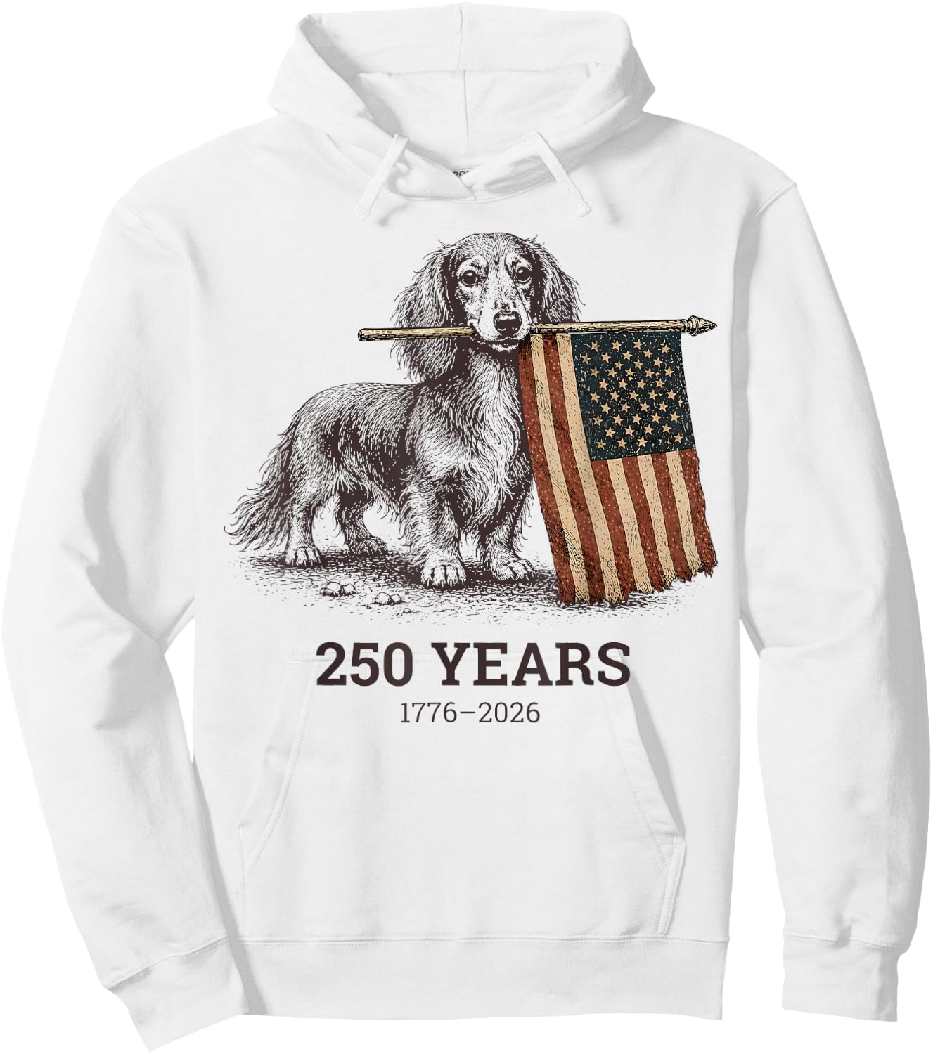 Dachshund America's 250th Patriotic Dog Fireworks Hoodie - Hoodie | White