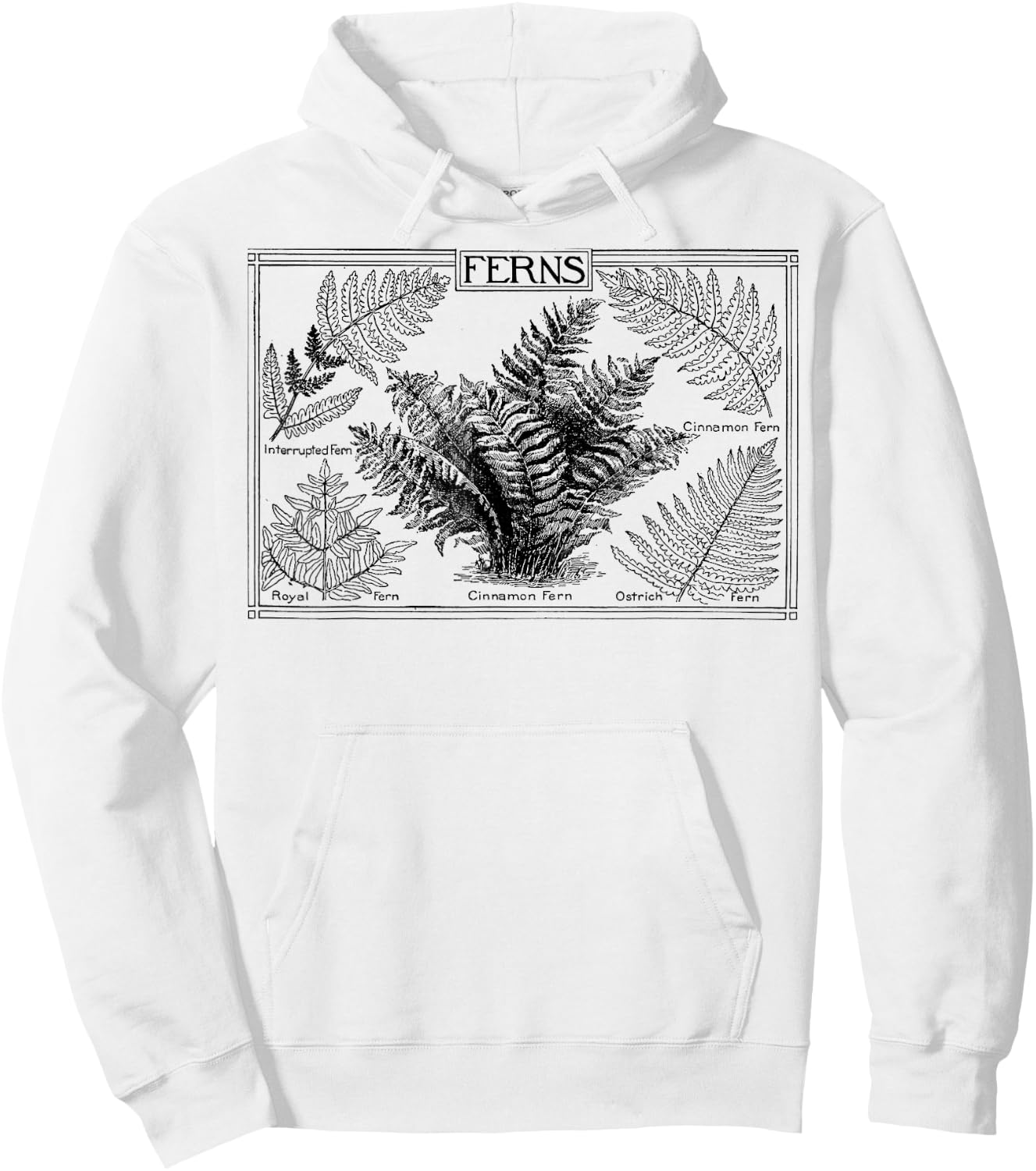 Fern Botanical Plant Botany Hoodie - Hoodie | White