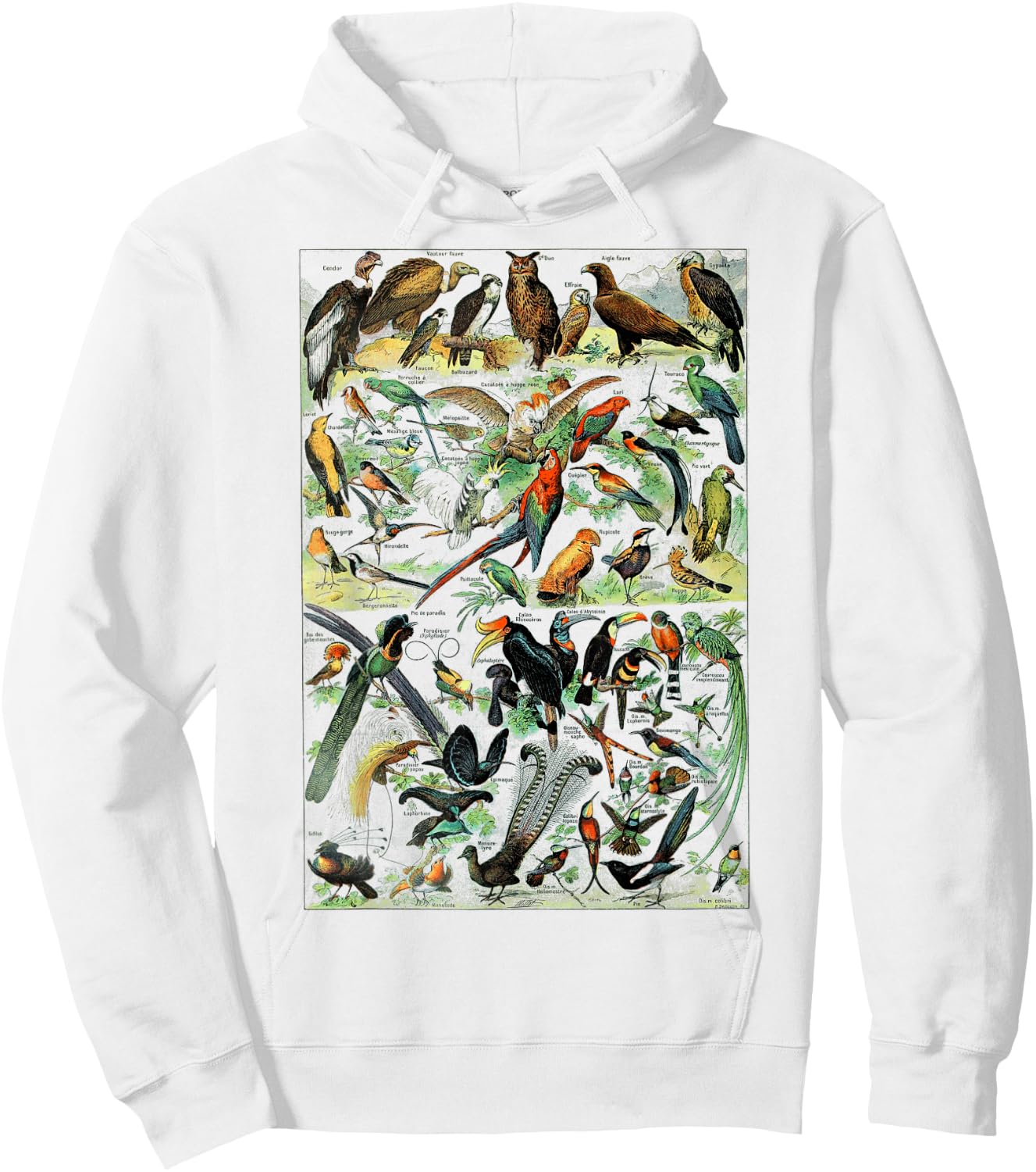 Bird Nature Birding Watcher Ornithology chart Types of birds Hoodie - Hoodie | White