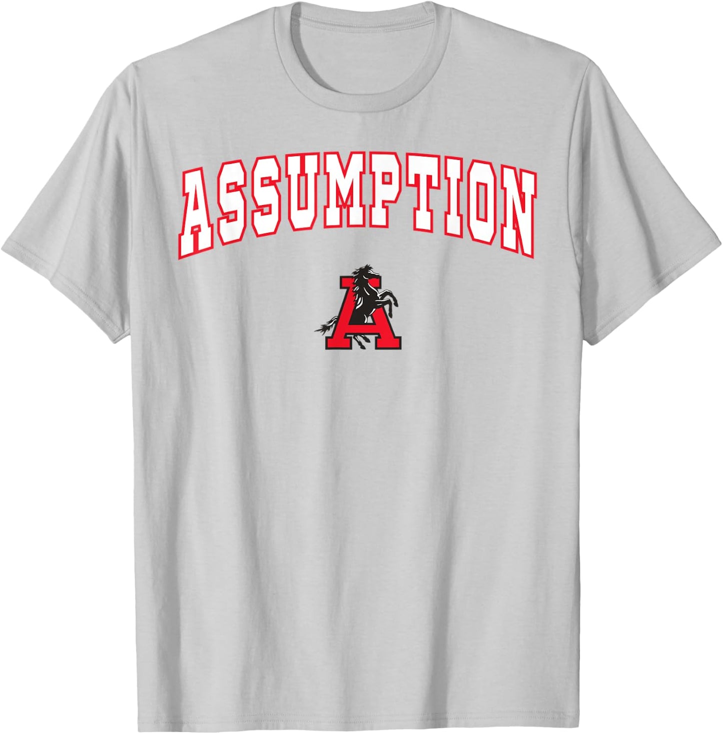 Assumption High School Mustangs C2 T-Shirt - T-Shirt | Ash