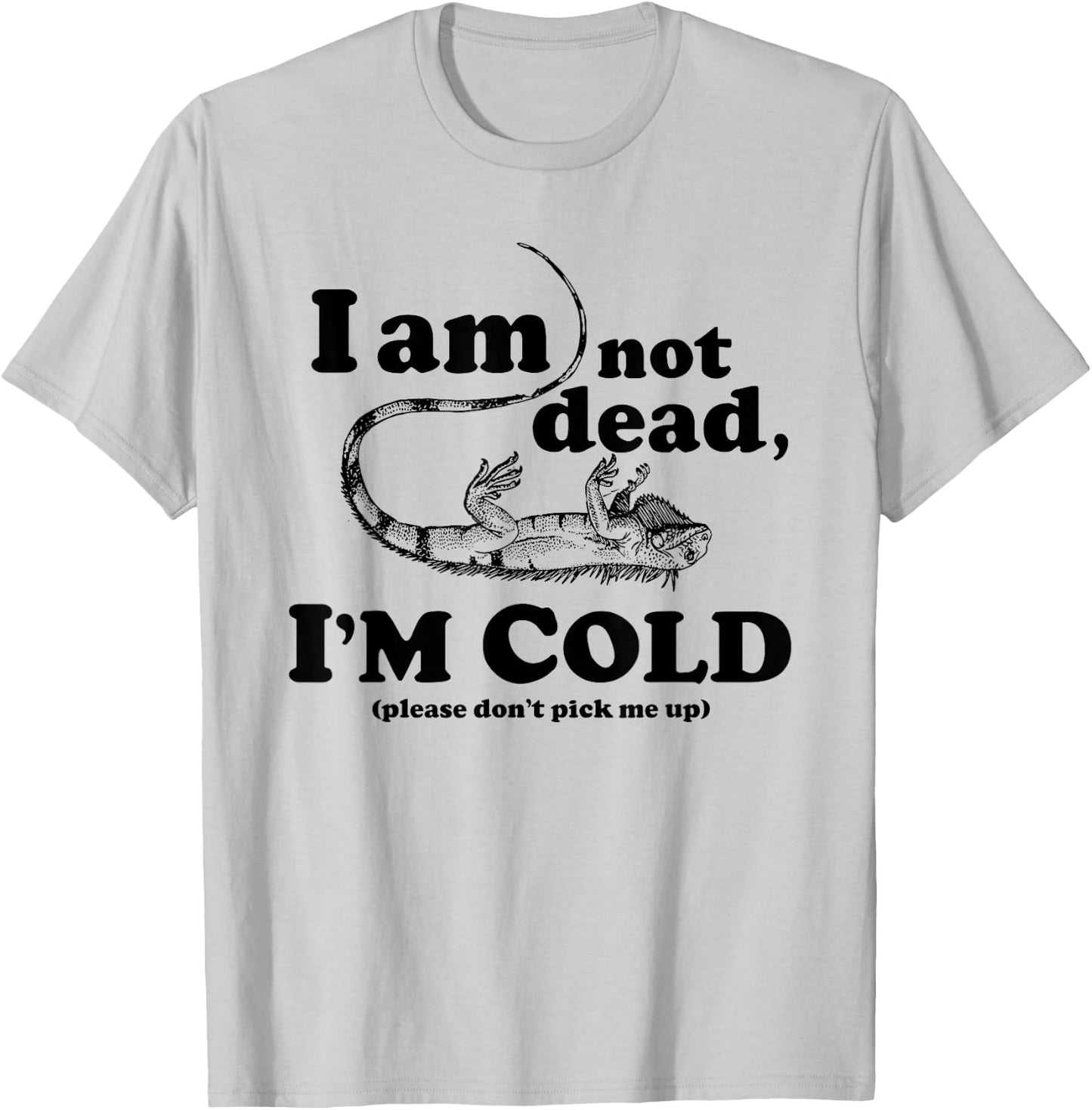 Frozen Iguana Shirt T-Shirt - T-Shirt | Ash