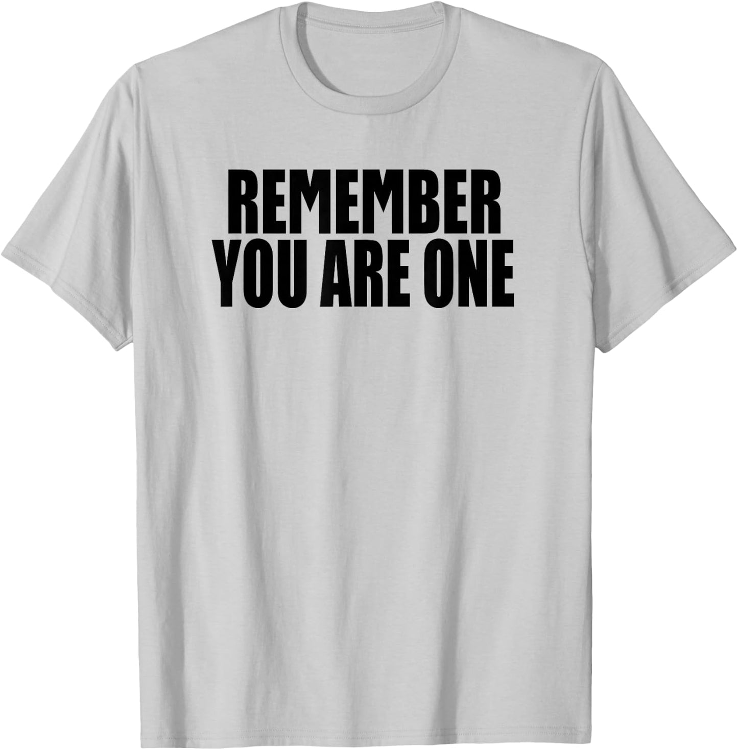 Remember you are one SUBSTANCE T-Shirt - T-Shirt | Ash