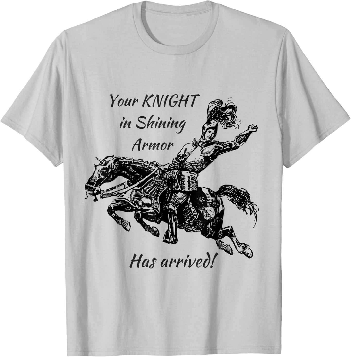 Knight in Shining Armor T-Shirt - T-Shirt | Ash