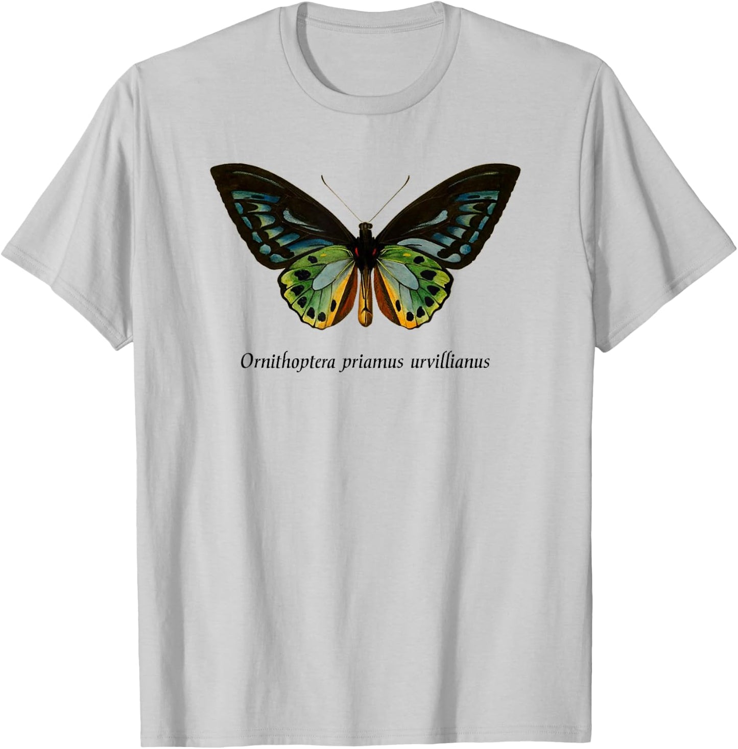 Bird Wing Butterfly Insect Entomology Moth T-Shirt - T-Shirt | Ash
