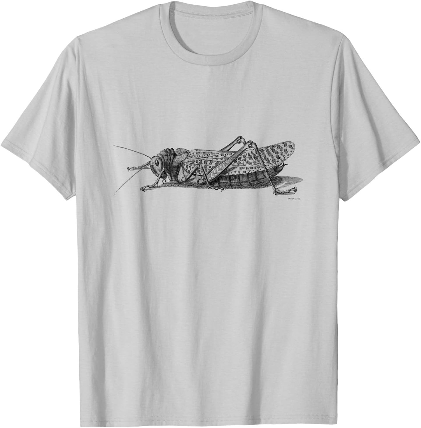 Cricket . Vintage Cricket Insect T-Shirt - T-Shirt | Ash