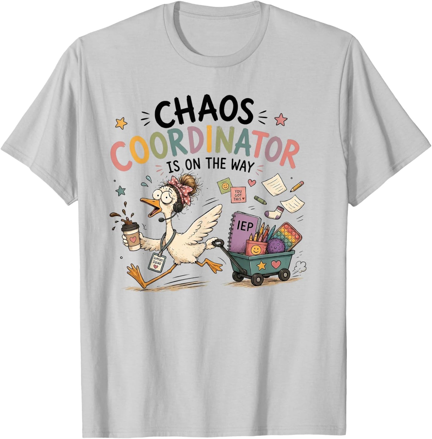Chaos Coordinator is On The Way Sped Teacher Goose T-Shirt - T-Shirt | Ash