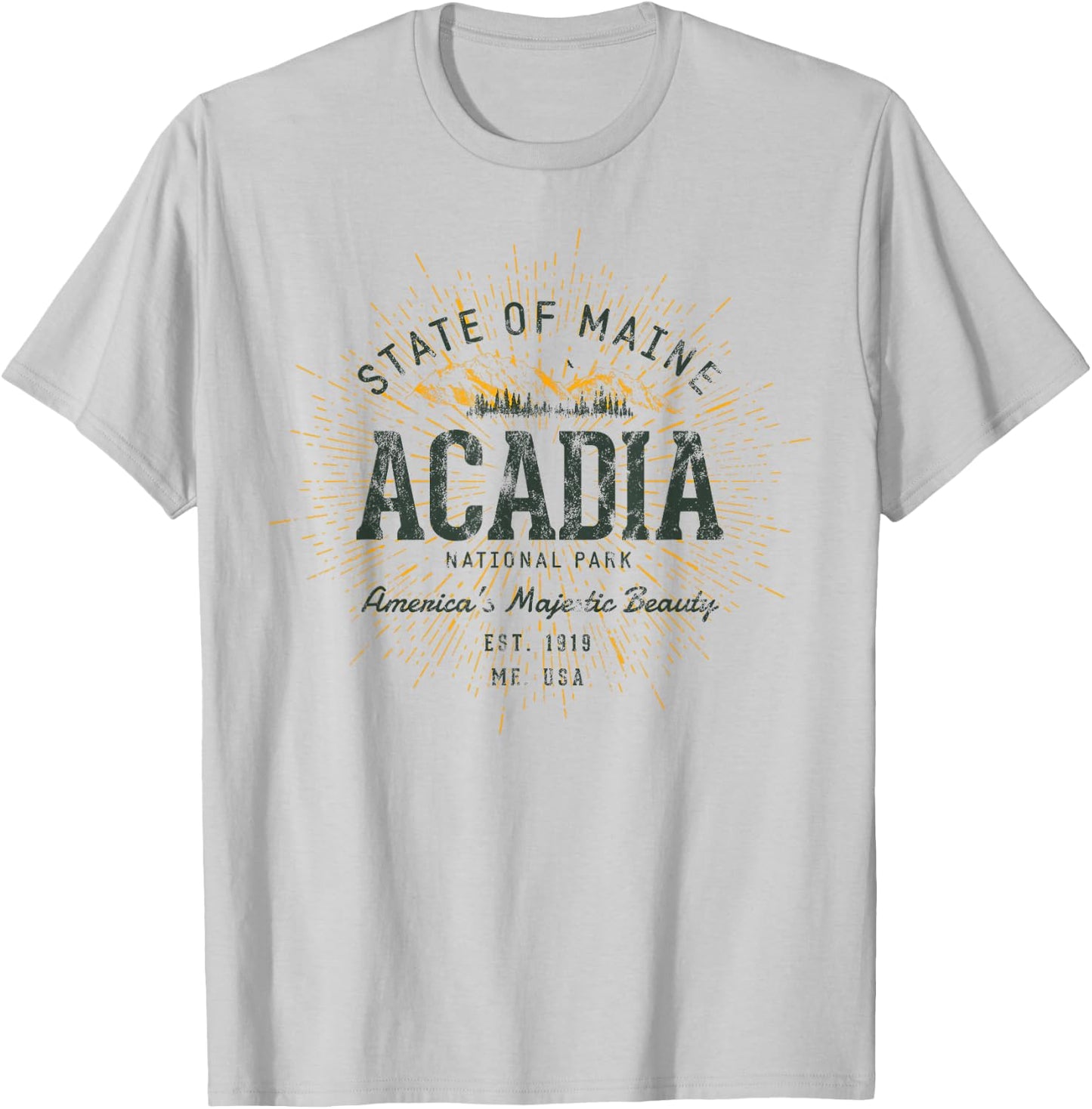Retro Style Vintage Acadia National Park T-Shirt - T-Shirt | Ash