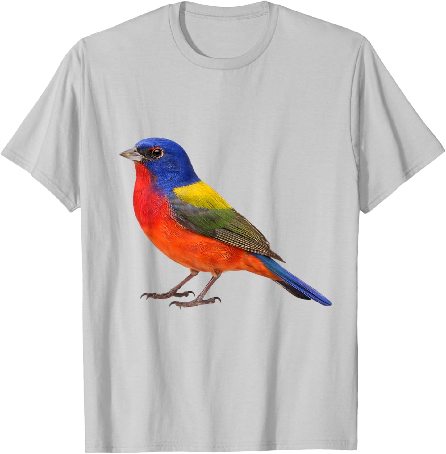 Painted Bunting Bird Aesthetic Illustration T-Shirt - T-Shirt | Ash