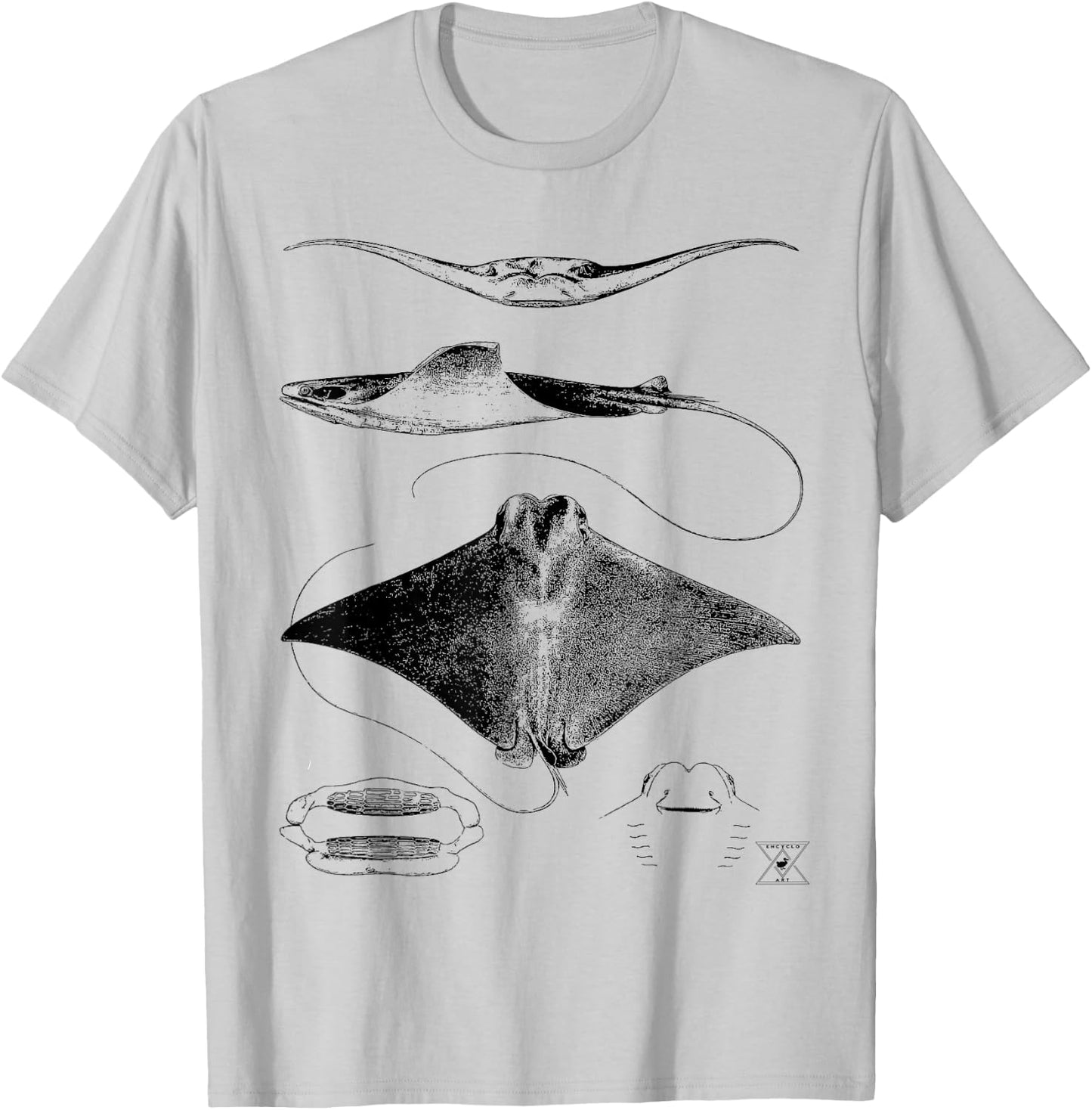Stingray Anatomy | Sharks Rays Oceanography Sea Life T-Shirt - T-Shirt | Ash