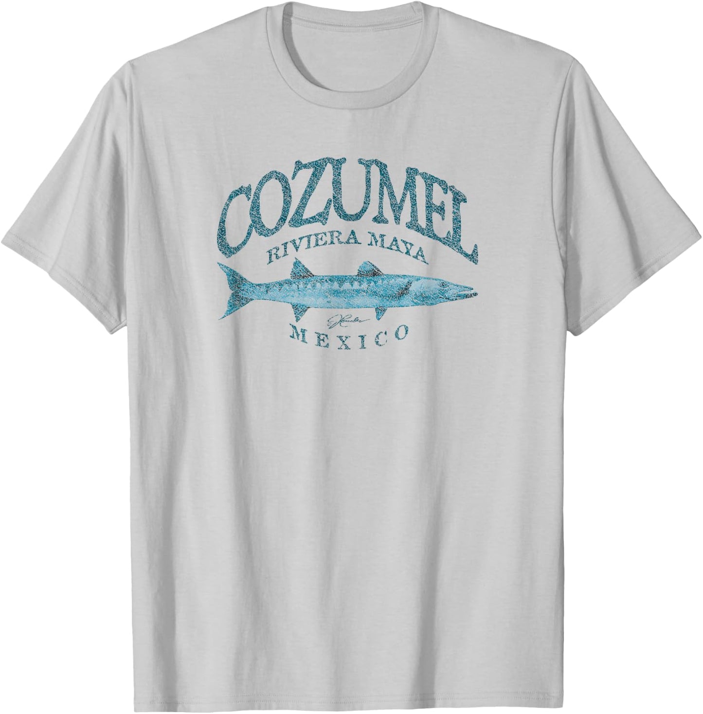 JCombs: Cozumel, Mexico, Great Barracuda T-Shirt - T-Shirt | Ash