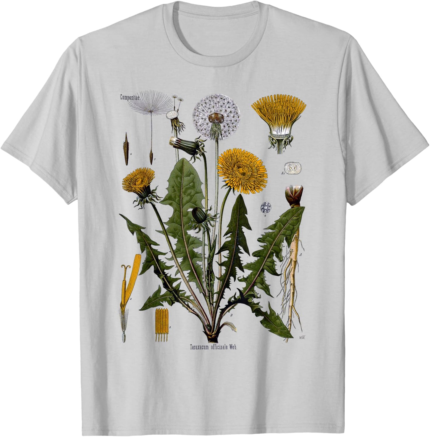 Dandelion Botanical T- Shirt Dandelion Root Vegetarian T-Shirt - T-Shirt | Ash