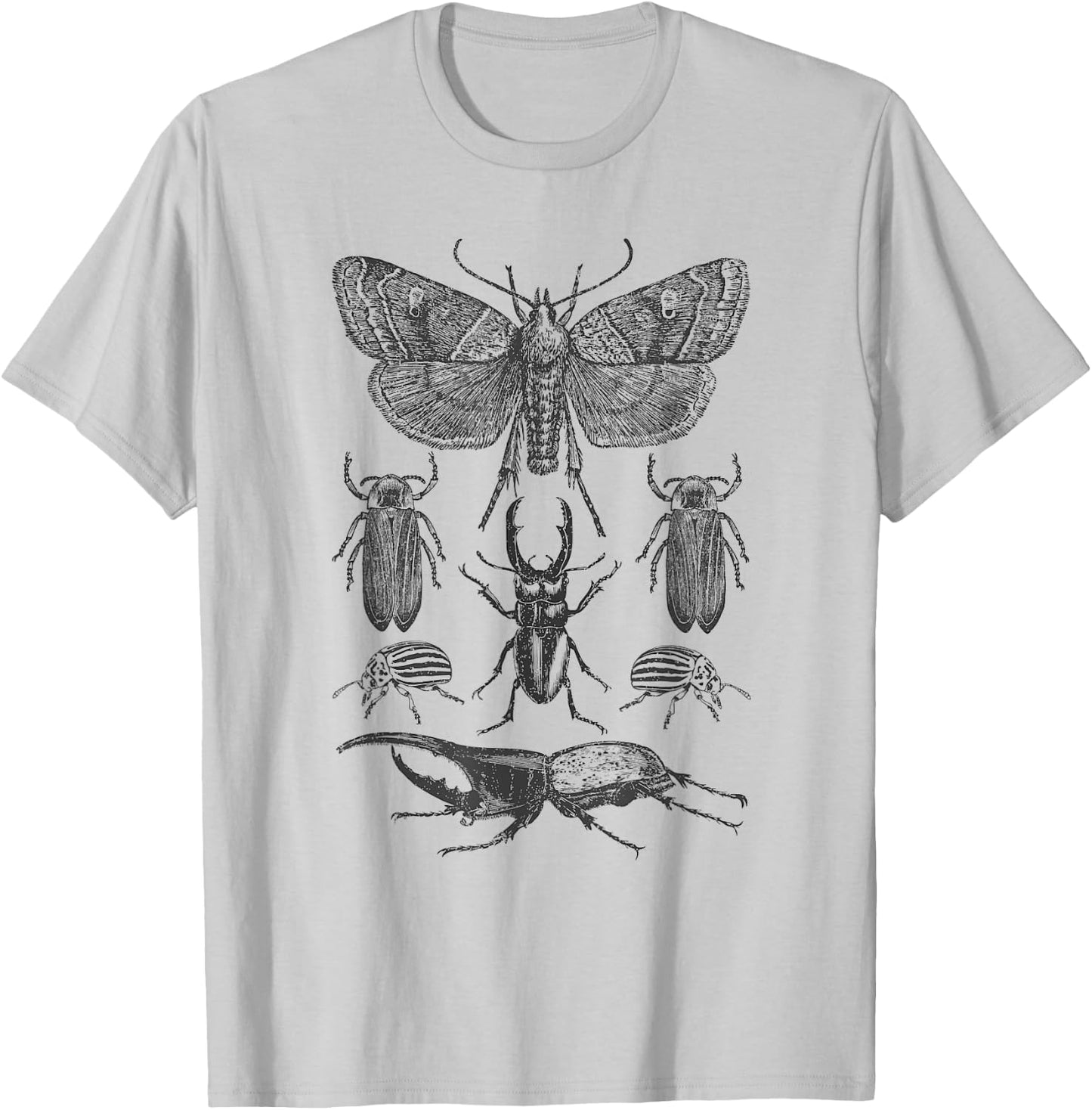 Insect Bug Collection - Moth, Stag Beetle, Cicada T-Shirt - T-Shirt | Ash