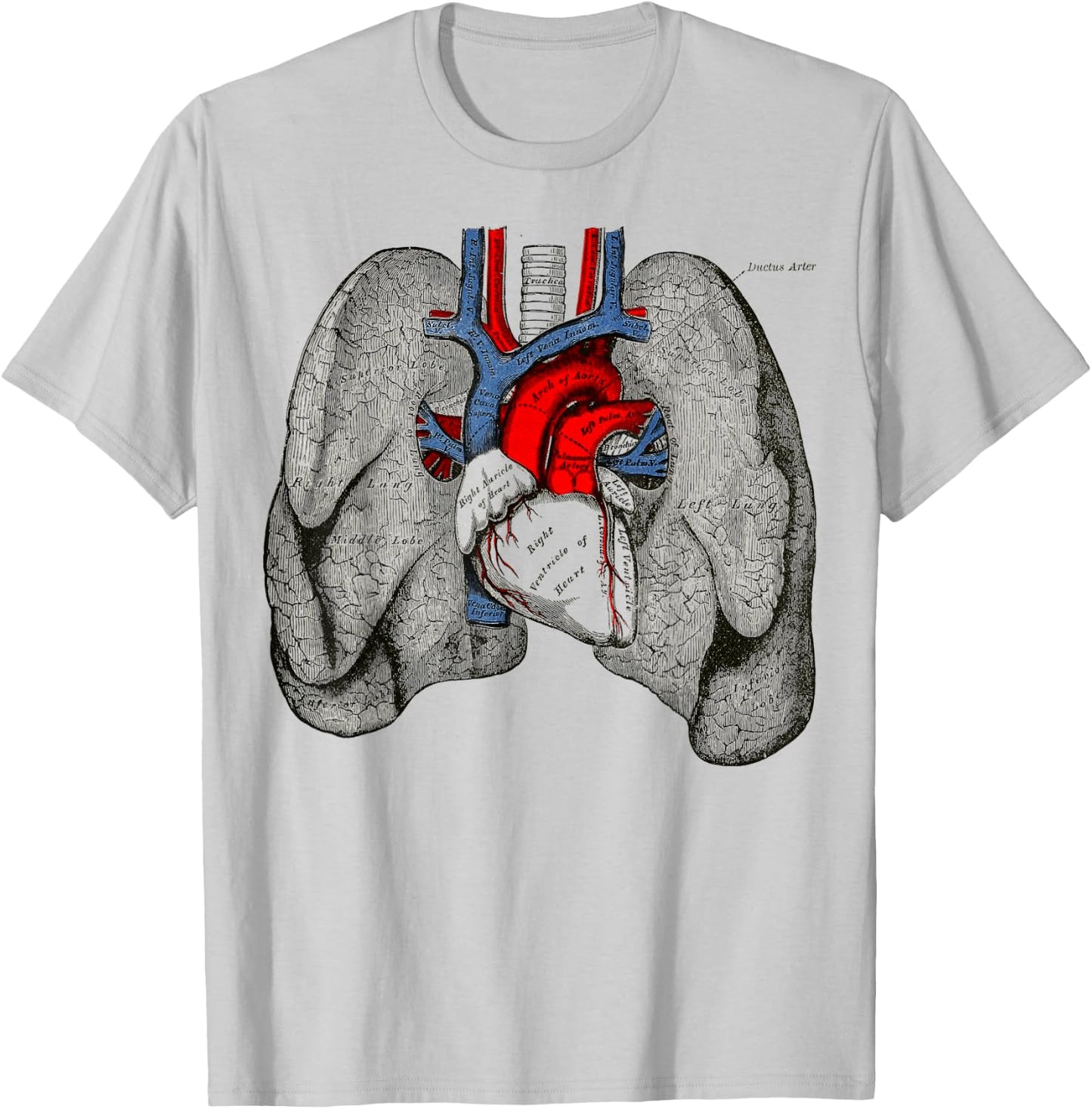 Human Heart Lungs Vintage Medical Anatomy Human Lungs Heart T-Shirt - T-Shirt | Ash