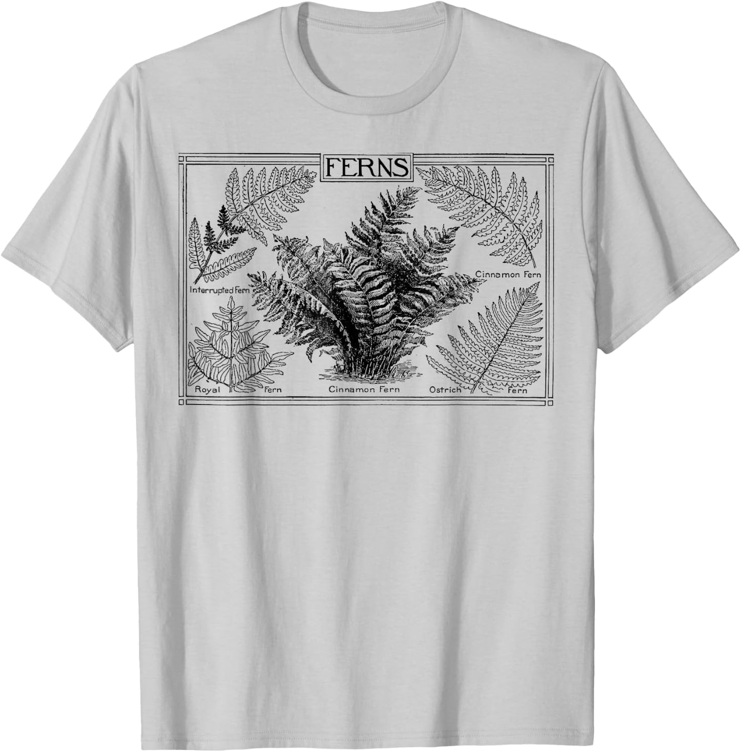 Fern Botanical Plant Botany T-Shirt - T-Shirt | Ash